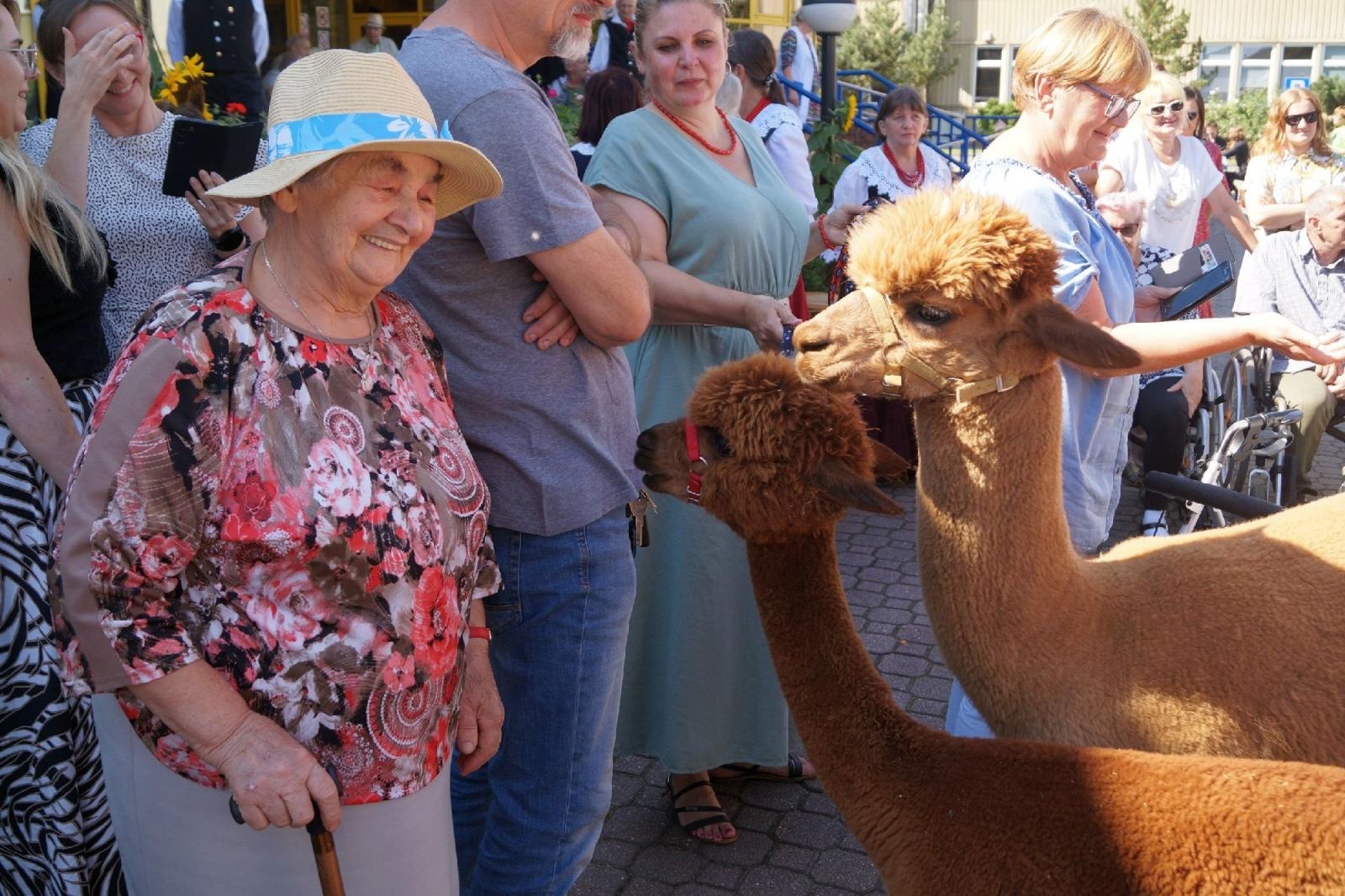 Zdjęcie w galerii na portalu naszraciborz.pl: Piknik integracyjny w raciborskiej Złotej Jesieni wiadomości z regionu