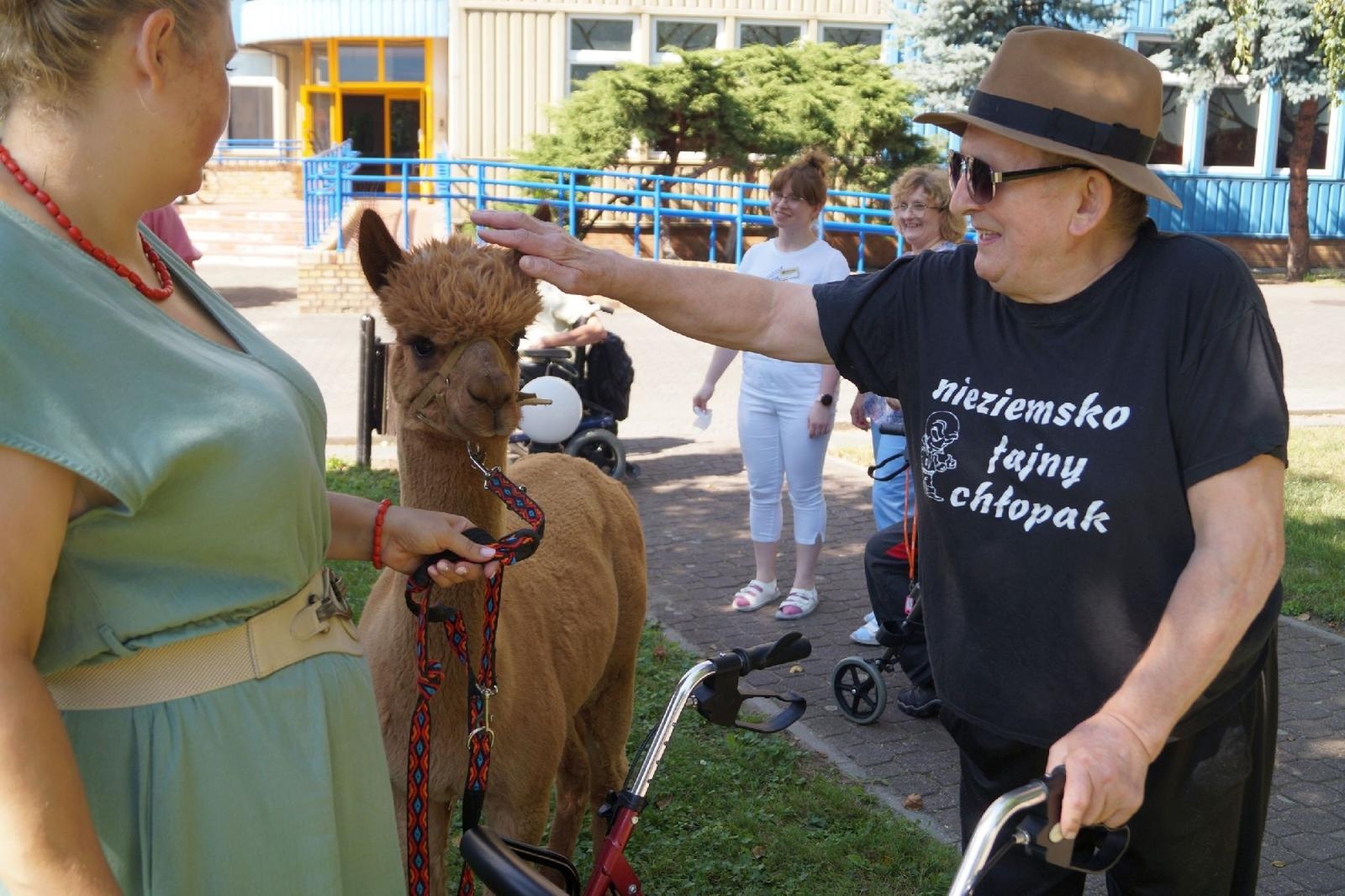 Zdjęcie w galerii na portalu naszraciborz.pl: Piknik integracyjny w raciborskiej Złotej Jesieni wiadomości z regionu