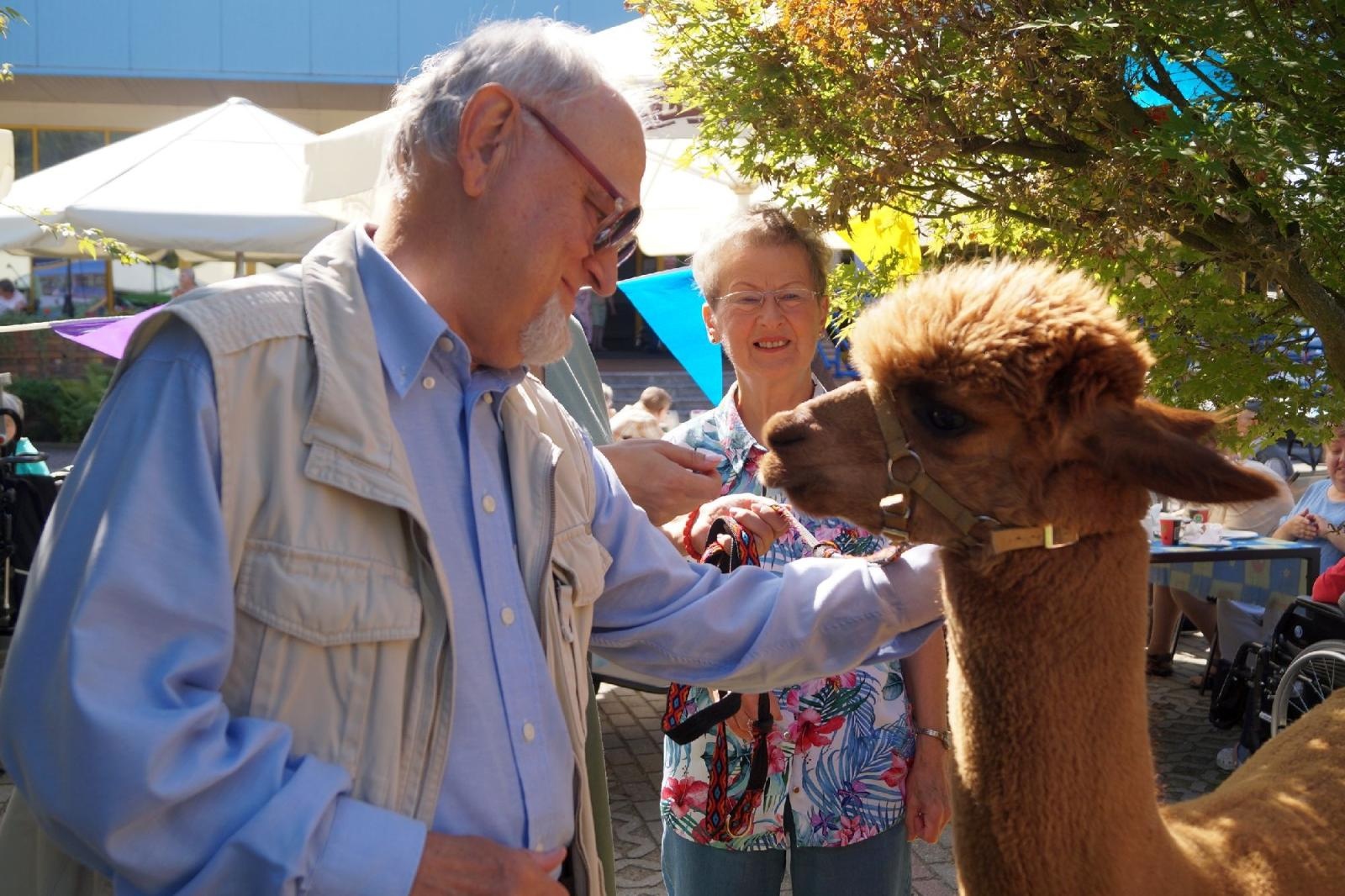 Zdjęcie w galerii na portalu naszraciborz.pl: Piknik integracyjny w raciborskiej Złotej Jesieni wiadomości z regionu
