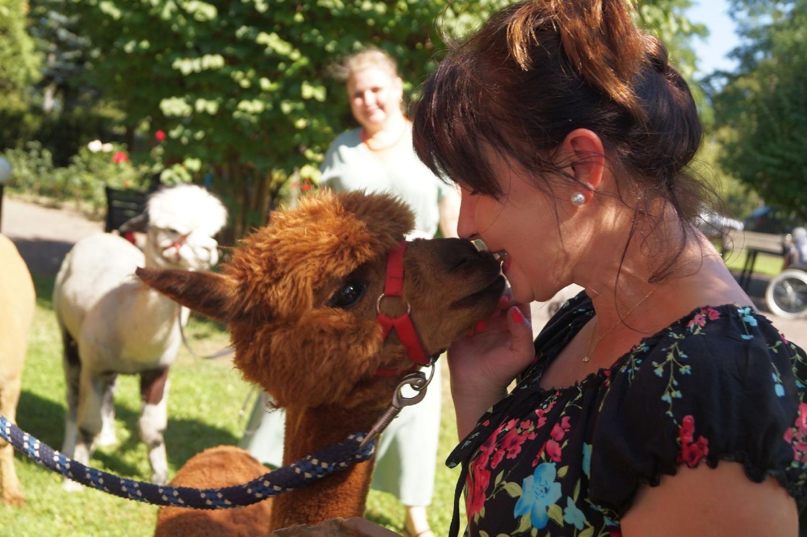 Zdjęcie w galerii na portalu naszraciborz.pl: Piknik integracyjny w raciborskiej Złotej Jesieni wiadomości z regionu