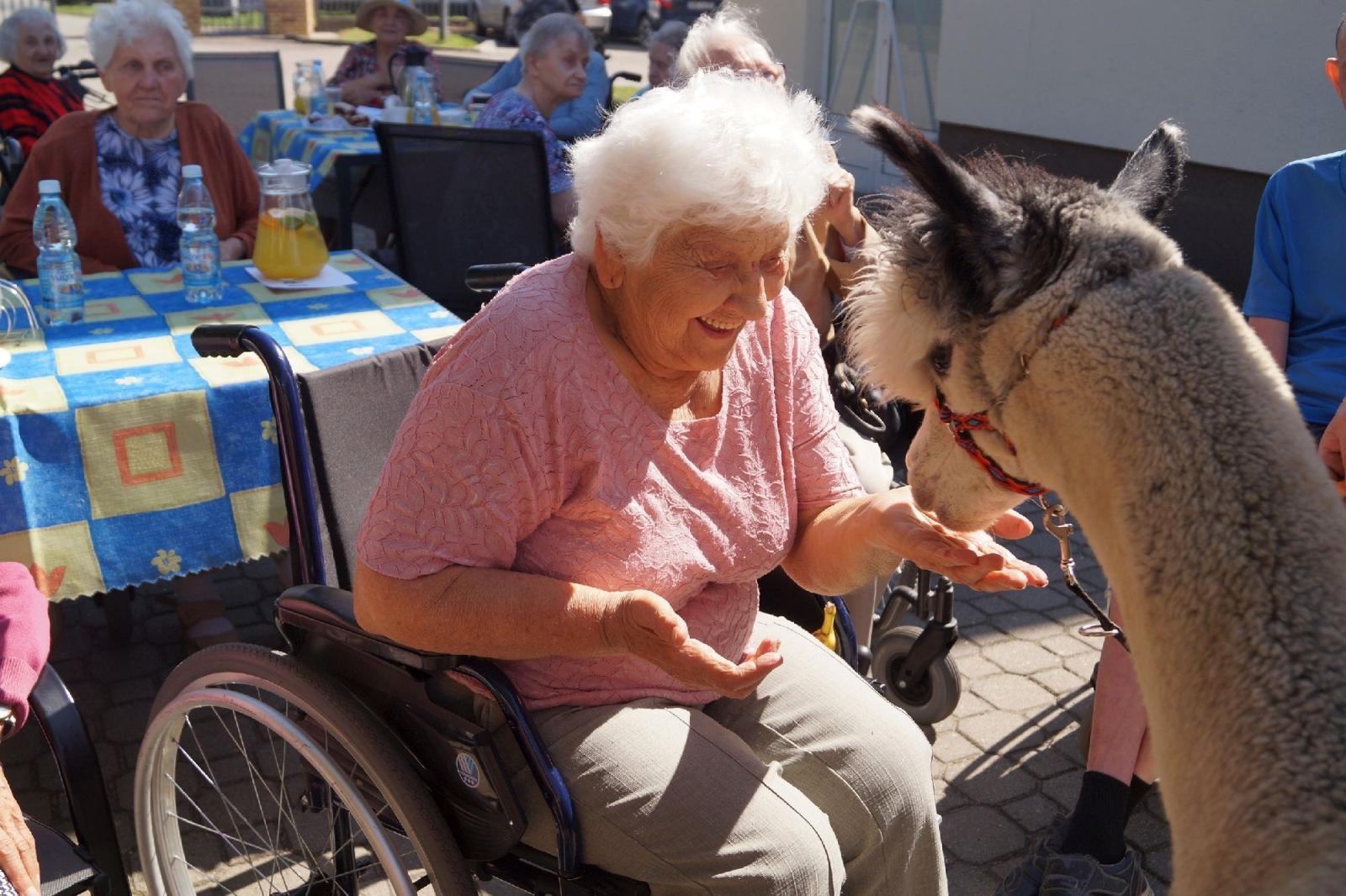 Zdjęcie w galerii na portalu naszraciborz.pl: Piknik integracyjny w raciborskiej Złotej Jesieni wiadomości z regionu