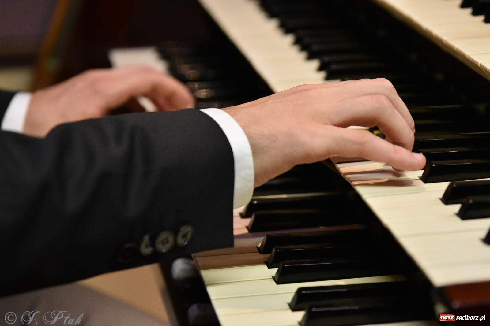 Zdjęcie w galerii na portalu naszraciborz.pl: Profesor improwizacji dał koncert w kościele farnym [FOTO] wiadomości z regionu