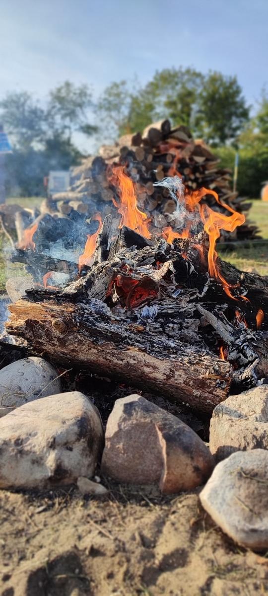 Zdjęcie w galerii na portalu naszraciborz.pl: Wakacje w powiecie 2023 za nami. Zakończenie na Wodniku w Kuźni Raciborskiej [FOTO] wiadomości z regionu