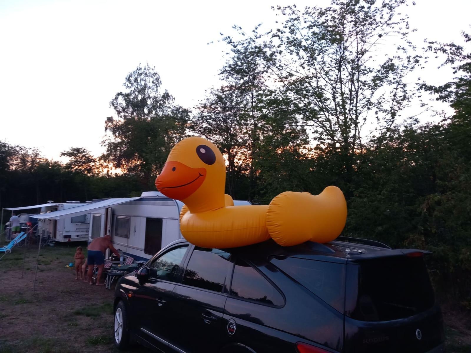 Zdjęcie w galerii na portalu naszraciborz.pl: Wakacje w powiecie 2023 za nami. Zakończenie na Wodniku w Kuźni Raciborskiej [FOTO] wiadomości z regionu
