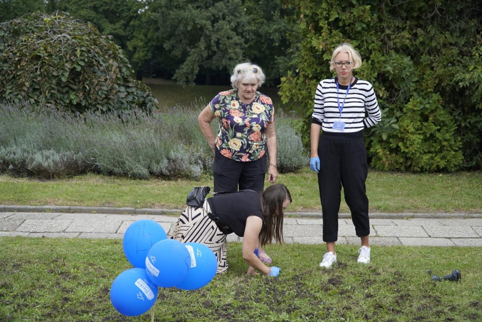 Zdjęcie w galerii na portalu naszraciborz.pl: Miasto wraz z dziećmi i mieszkańcami zasadziło krokusy wiadomości z regionu