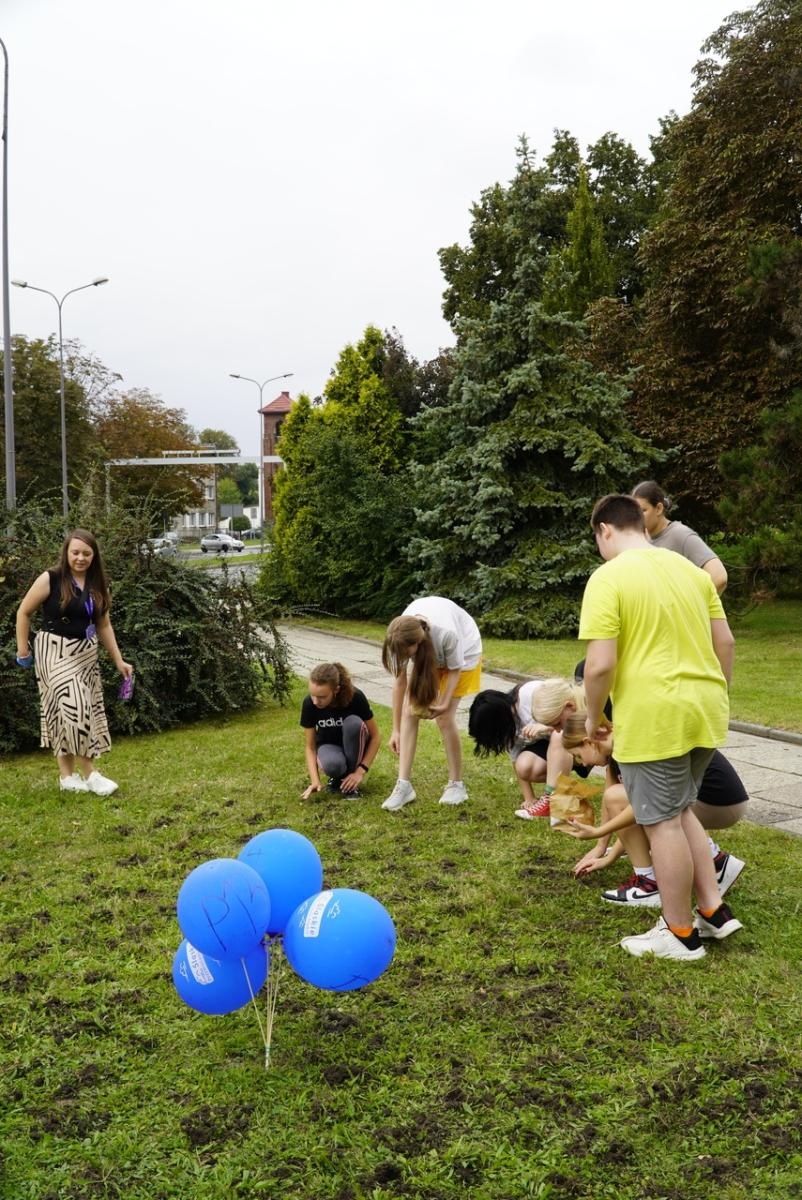 Zdjęcie w galerii na portalu naszraciborz.pl: Miasto wraz z dziećmi i mieszkańcami zasadziło krokusy wiadomości z regionu