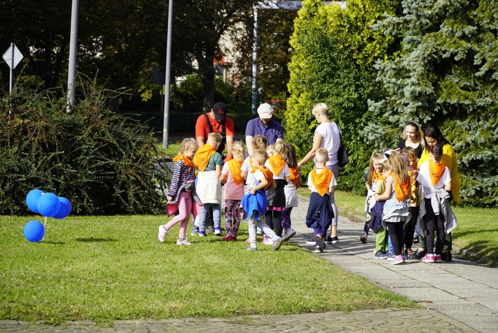 Zdjęcie w galerii na portalu naszraciborz.pl: Miasto wraz z dziećmi i mieszkańcami zasadziło krokusy wiadomości z regionu