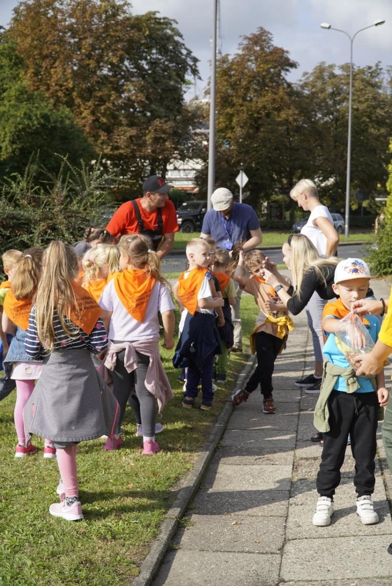 Zdjęcie w galerii na portalu naszraciborz.pl: Miasto wraz z dziećmi i mieszkańcami zasadziło krokusy wiadomości z regionu