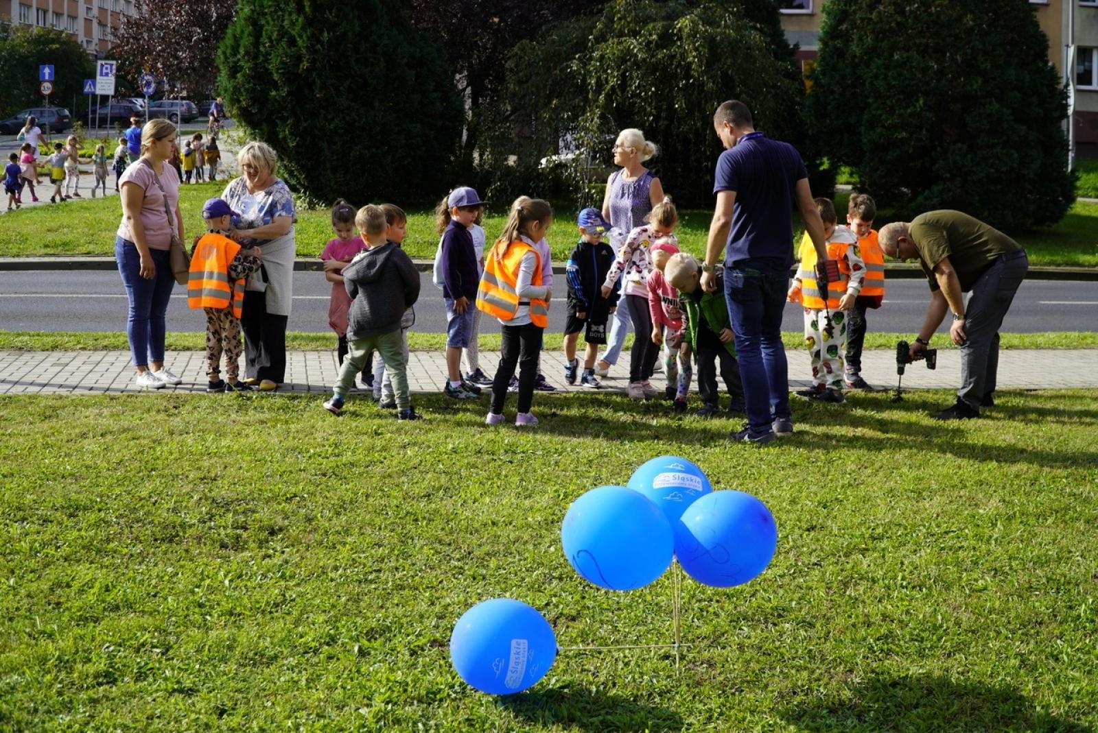 Zdjęcie w galerii na portalu naszraciborz.pl: Miasto wraz z dziećmi i mieszkańcami zasadziło krokusy wiadomości z regionu