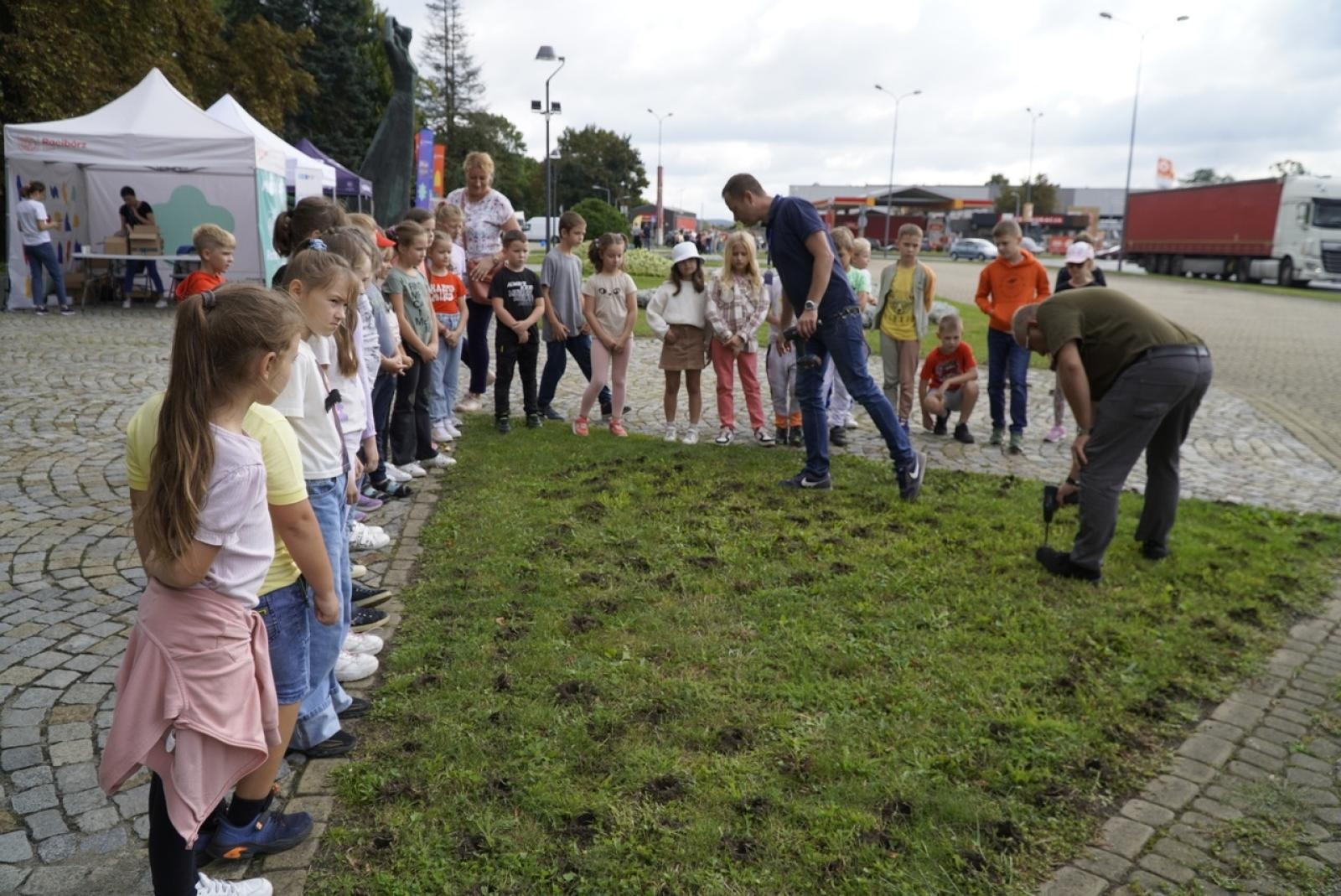 Zdjęcie w galerii na portalu naszraciborz.pl: Miasto wraz z dziećmi i mieszkańcami zasadziło krokusy wiadomości z regionu