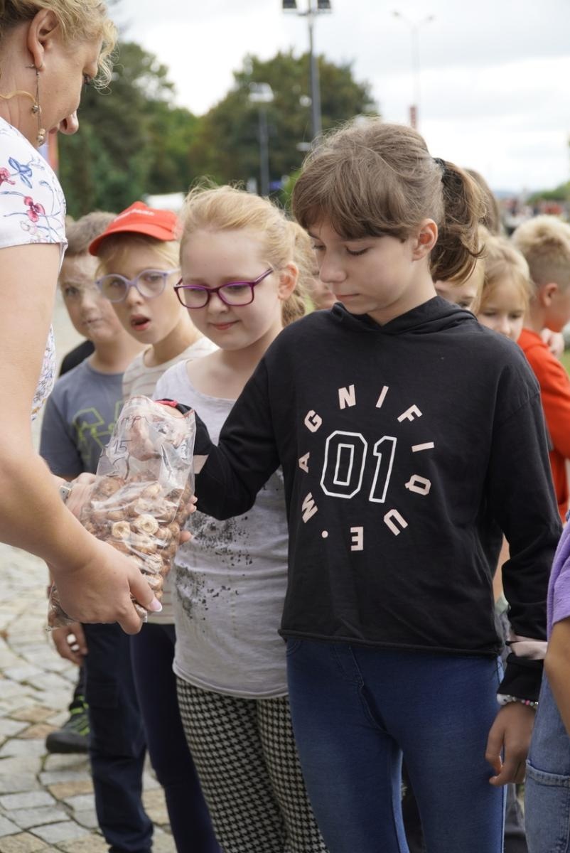 Zdjęcie w galerii na portalu naszraciborz.pl: Miasto wraz z dziećmi i mieszkańcami zasadziło krokusy wiadomości z regionu