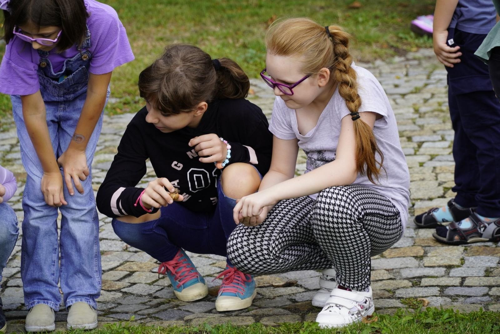 Zdjęcie w galerii na portalu naszraciborz.pl: Miasto wraz z dziećmi i mieszkańcami zasadziło krokusy wiadomości z regionu