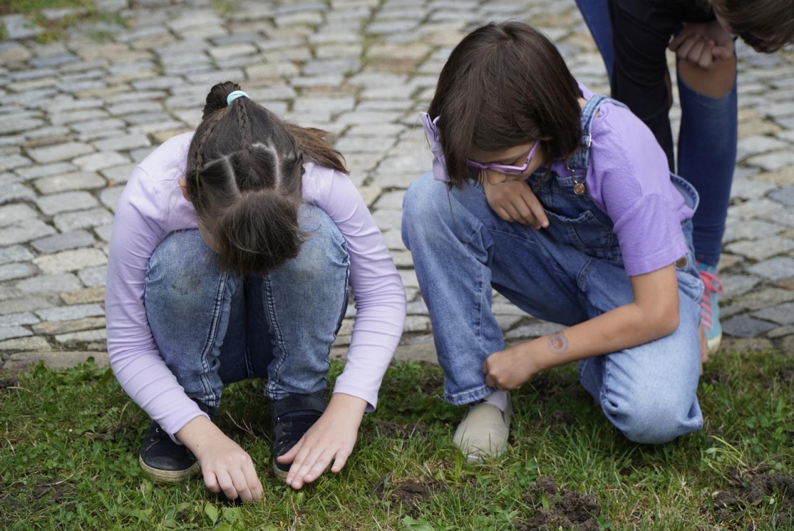 Zdjęcie w galerii na portalu naszraciborz.pl: Miasto wraz z dziećmi i mieszkańcami zasadziło krokusy wiadomości z regionu