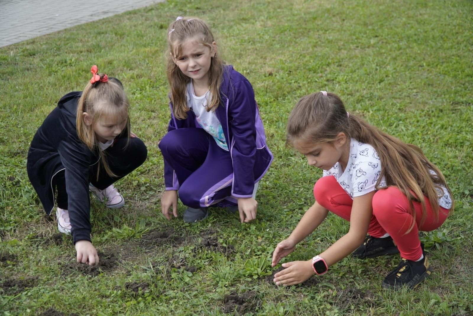 Zdjęcie w galerii na portalu naszraciborz.pl: Miasto wraz z dziećmi i mieszkańcami zasadziło krokusy wiadomości z regionu
