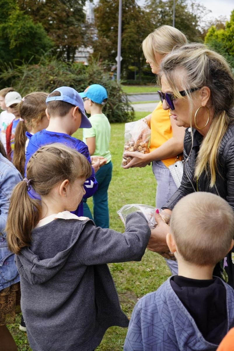 Zdjęcie w galerii na portalu naszraciborz.pl: Miasto wraz z dziećmi i mieszkańcami zasadziło krokusy wiadomości z regionu