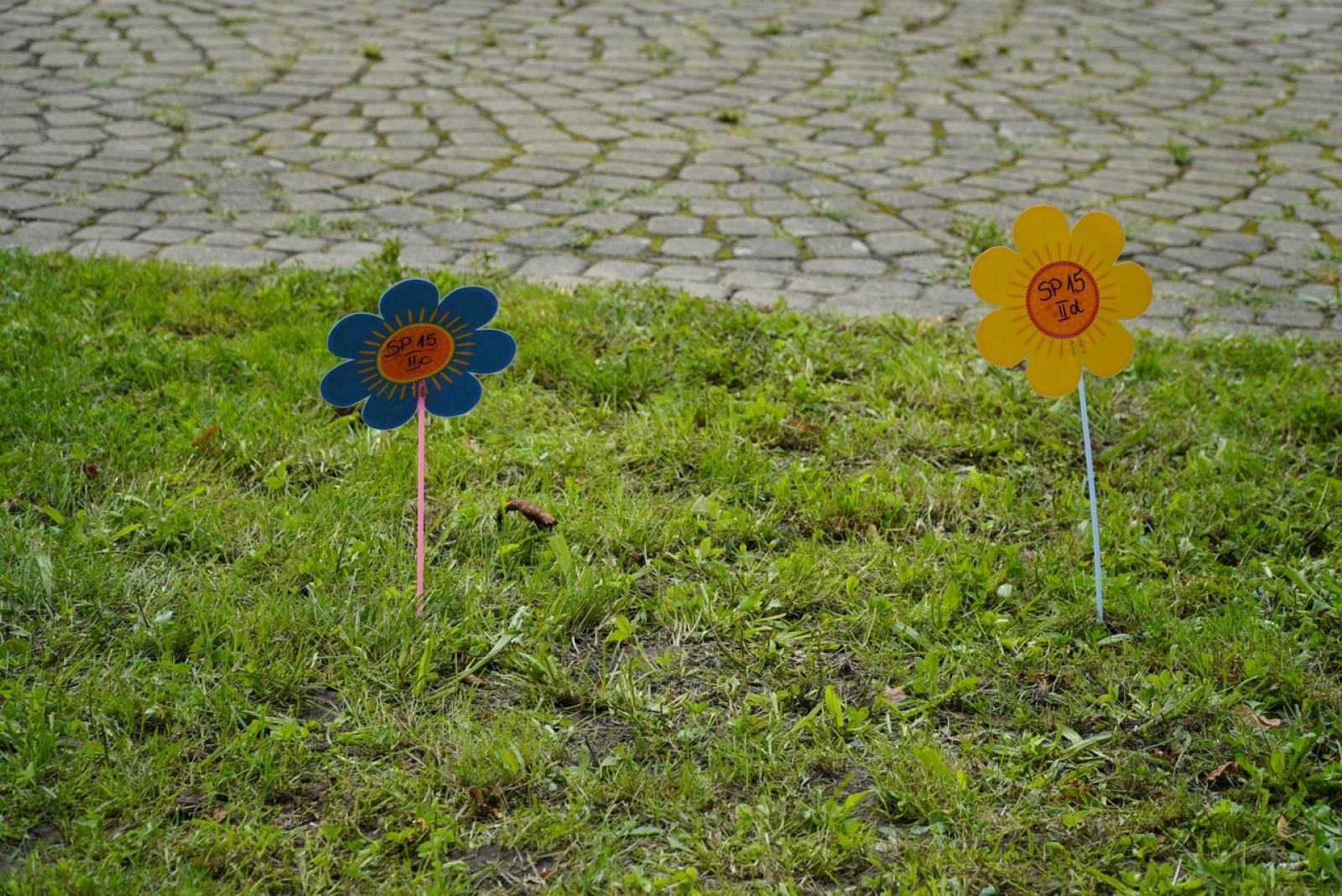 Zdjęcie w galerii na portalu naszraciborz.pl: Miasto wraz z dziećmi i mieszkańcami zasadziło krokusy wiadomości z regionu