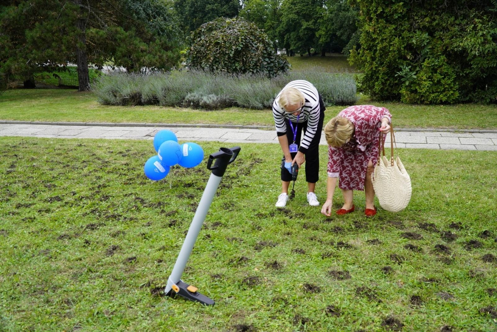 Zdjęcie w galerii na portalu naszraciborz.pl: Miasto wraz z dziećmi i mieszkańcami zasadziło krokusy wiadomości z regionu
