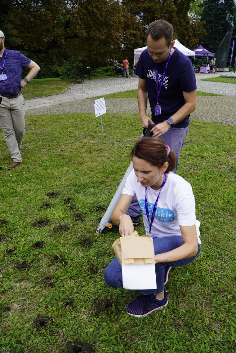 Zdjęcie w galerii na portalu naszraciborz.pl: Miasto wraz z dziećmi i mieszkańcami zasadziło krokusy wiadomości z regionu