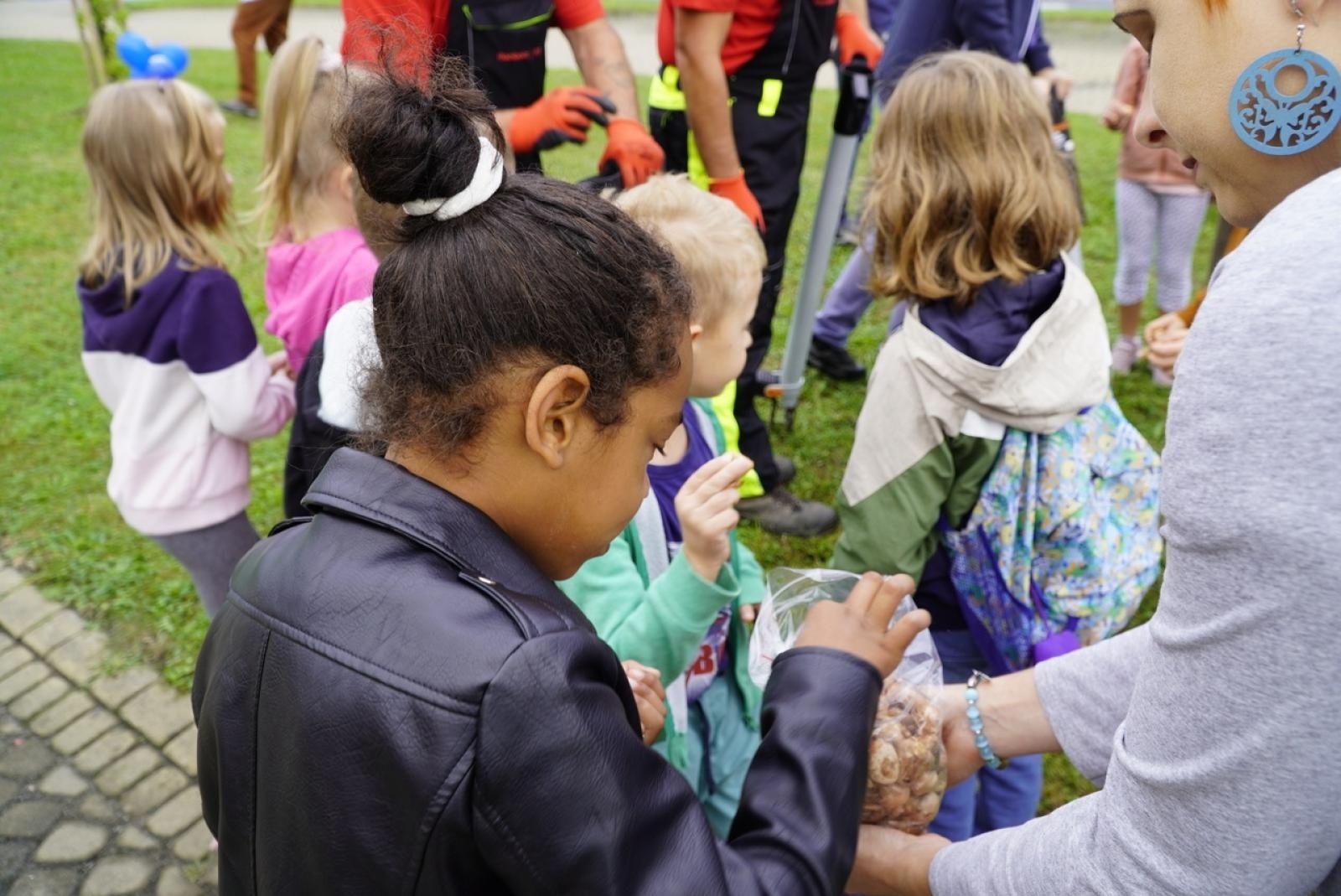 Zdjęcie w galerii na portalu naszraciborz.pl: Miasto wraz z dziećmi i mieszkańcami zasadziło krokusy wiadomości z regionu