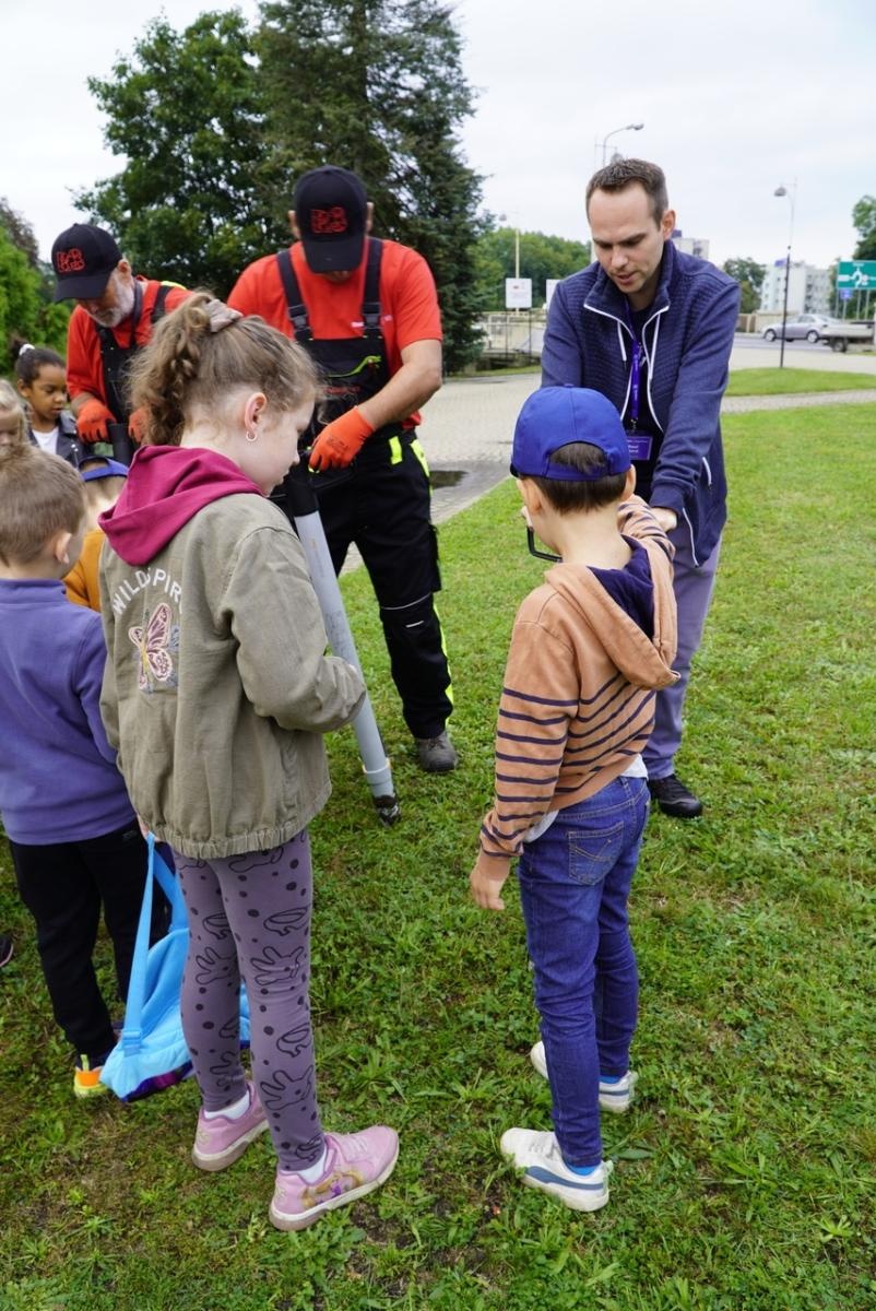 Zdjęcie w galerii na portalu naszraciborz.pl: Miasto wraz z dziećmi i mieszkańcami zasadziło krokusy wiadomości z regionu