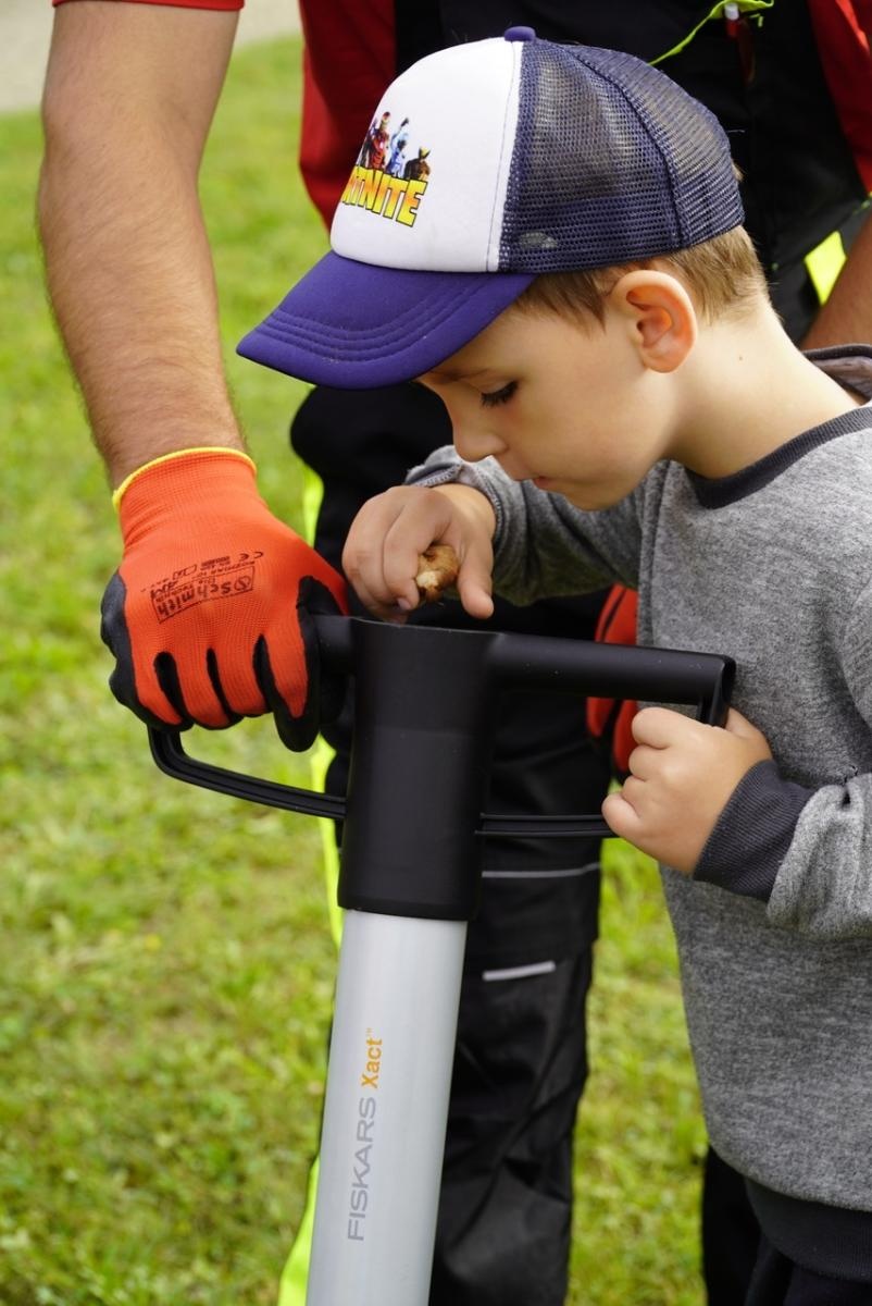 Zdjęcie w galerii na portalu naszraciborz.pl: Miasto wraz z dziećmi i mieszkańcami zasadziło krokusy wiadomości z regionu