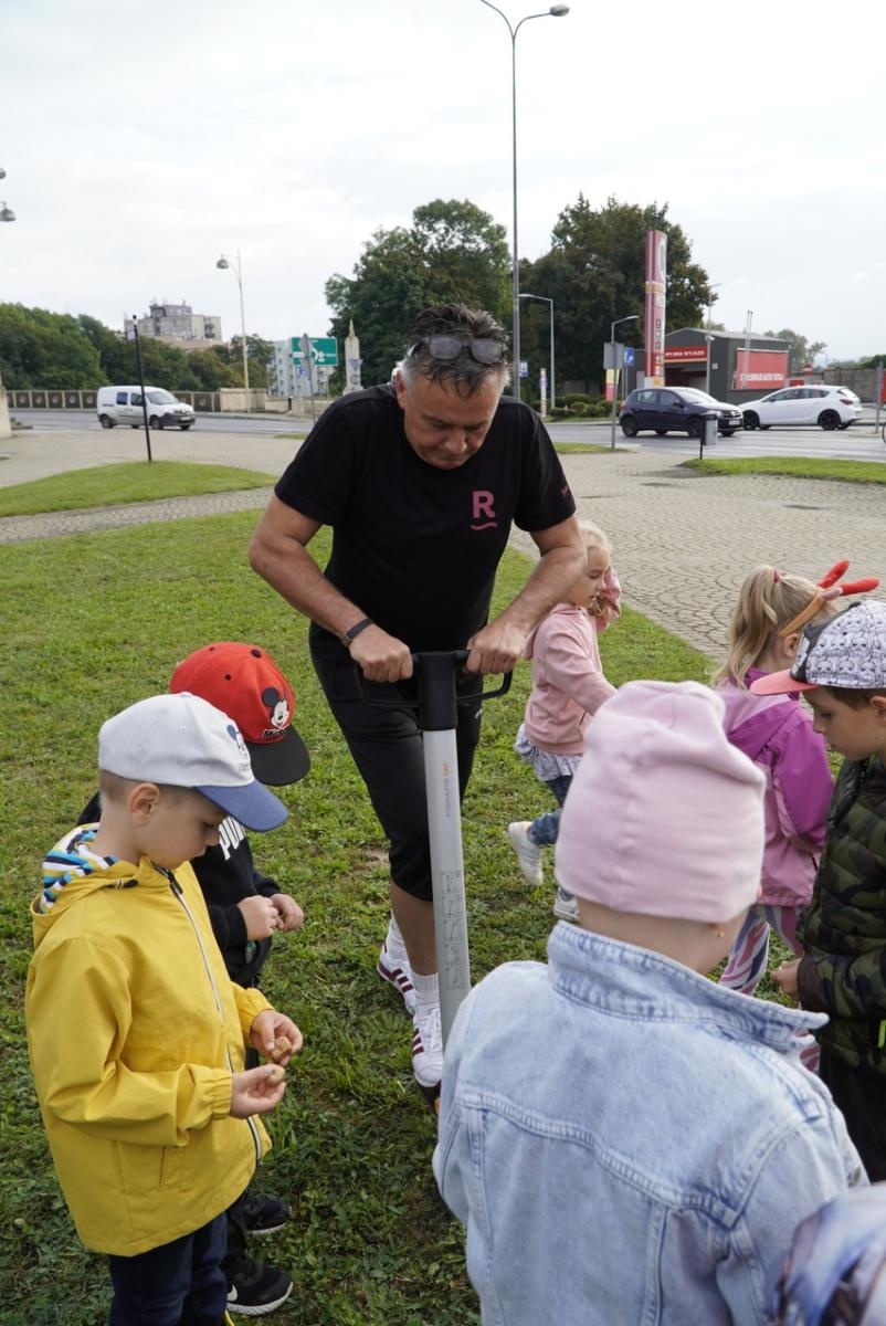 Zdjęcie w galerii na portalu naszraciborz.pl: Miasto wraz z dziećmi i mieszkańcami zasadziło krokusy wiadomości z regionu