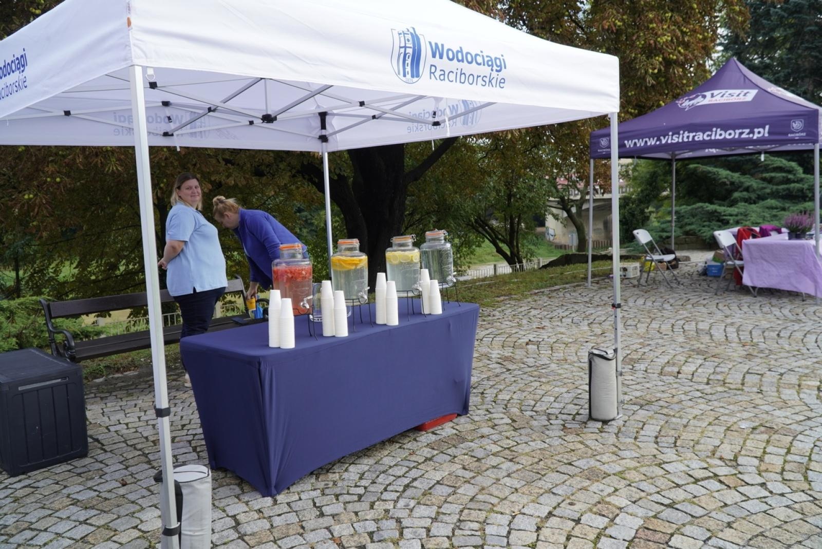 Zdjęcie w galerii na portalu naszraciborz.pl: Miasto wraz z dziećmi i mieszkańcami zasadziło krokusy wiadomości z regionu