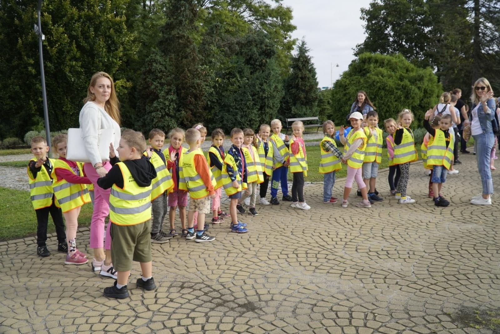 Zdjęcie w galerii na portalu naszraciborz.pl: Miasto wraz z dziećmi i mieszkańcami zasadziło krokusy wiadomości z regionu