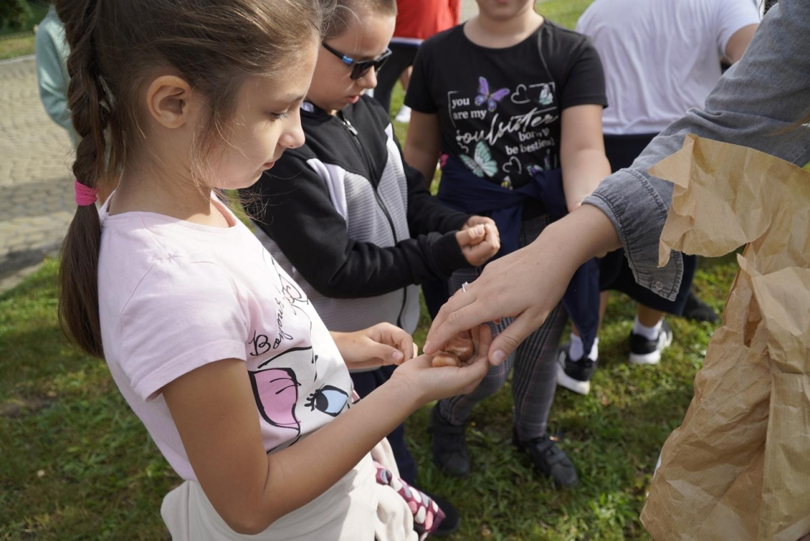 Zdjęcie w galerii na portalu naszraciborz.pl: Miasto wraz z dziećmi i mieszkańcami zasadziło krokusy wiadomości z regionu