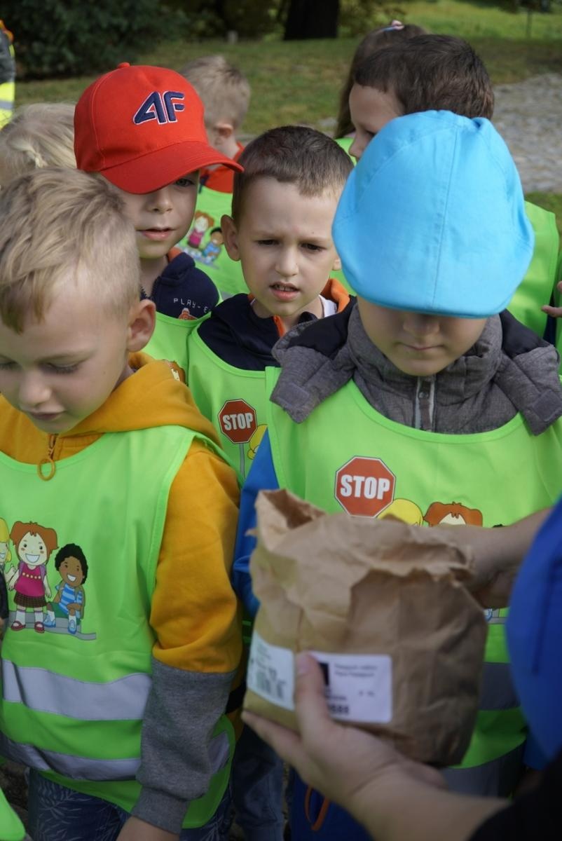 Zdjęcie w galerii na portalu naszraciborz.pl: Miasto wraz z dziećmi i mieszkańcami zasadziło krokusy wiadomości z regionu