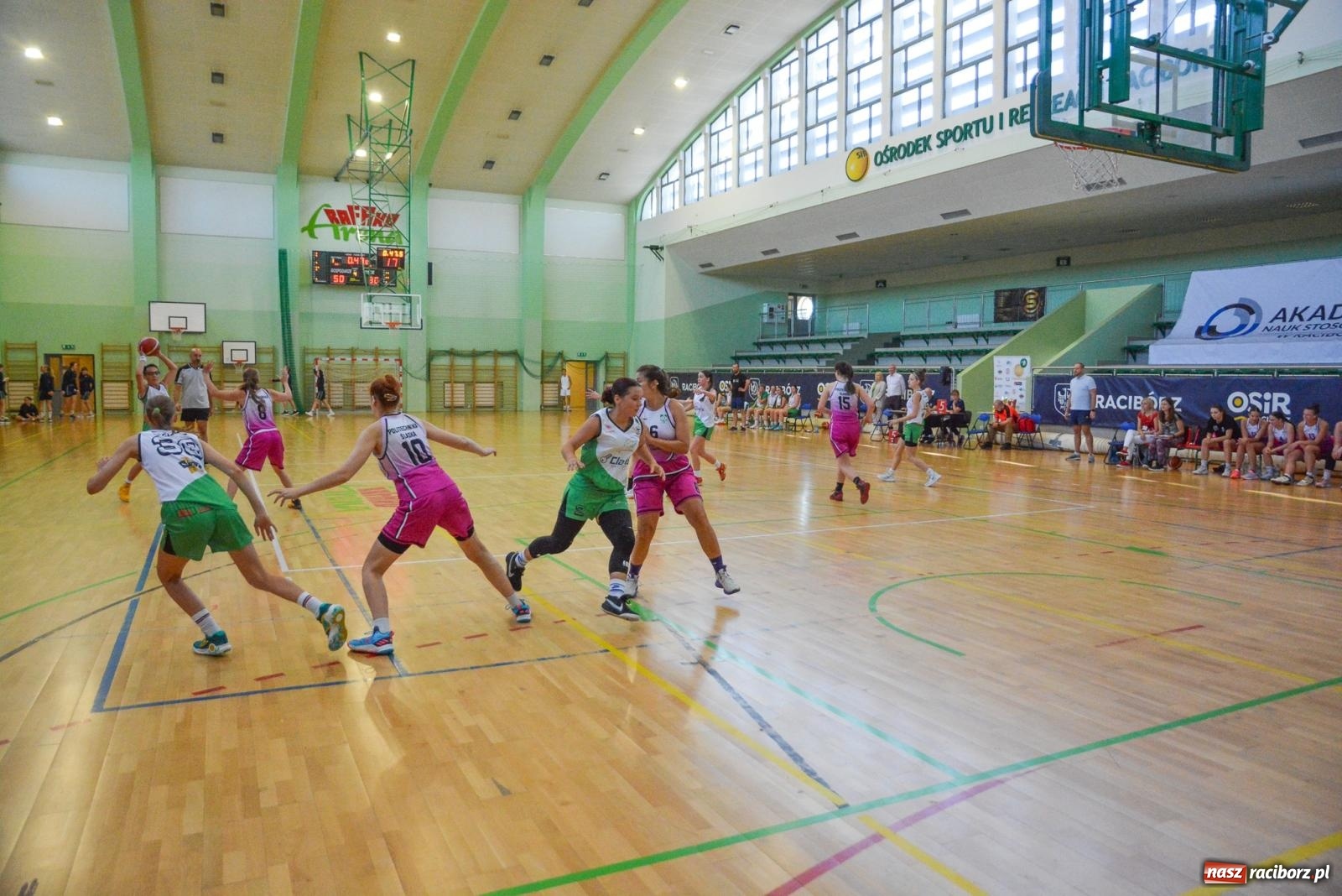 Zdjęcie w galerii na portalu naszraciborz.pl: Koszykarki rywalizowały o puchar rektora ANS w Raciborzu wiadomości z regionu