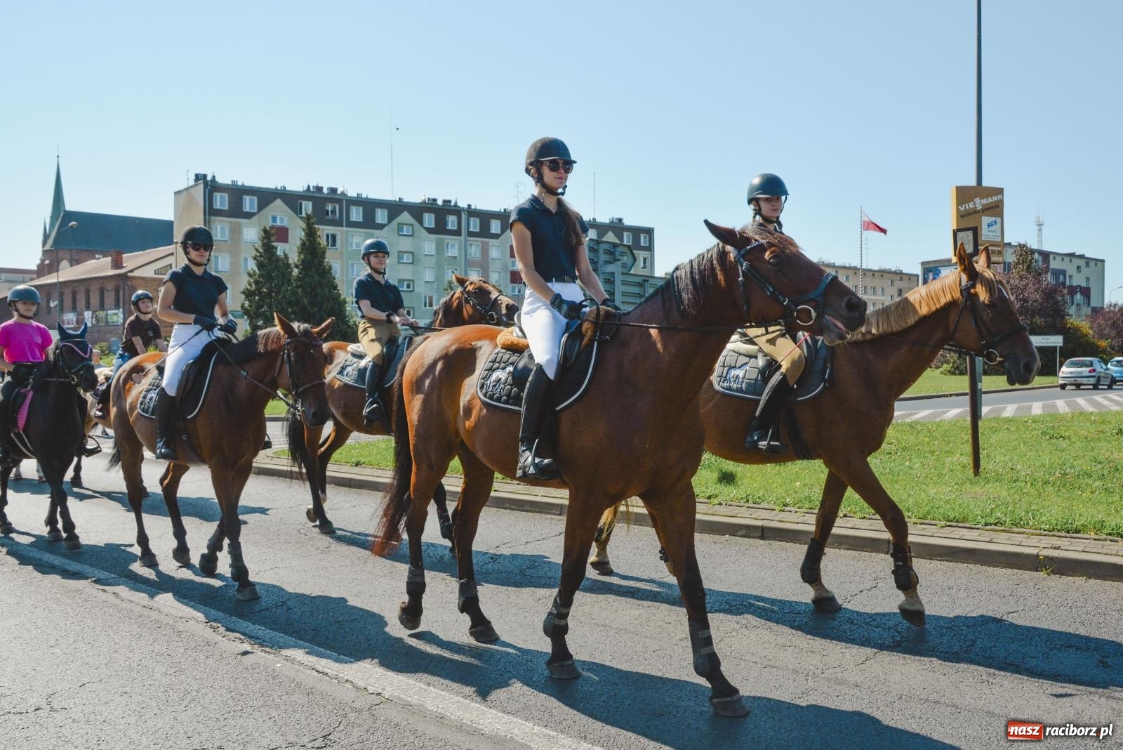 Zdjęcie w galerii na portalu naszraciborz.pl: Raciborski Hubertus. Parada konna przez miasto [FOTO i WIDEO] wiadomości z regionu