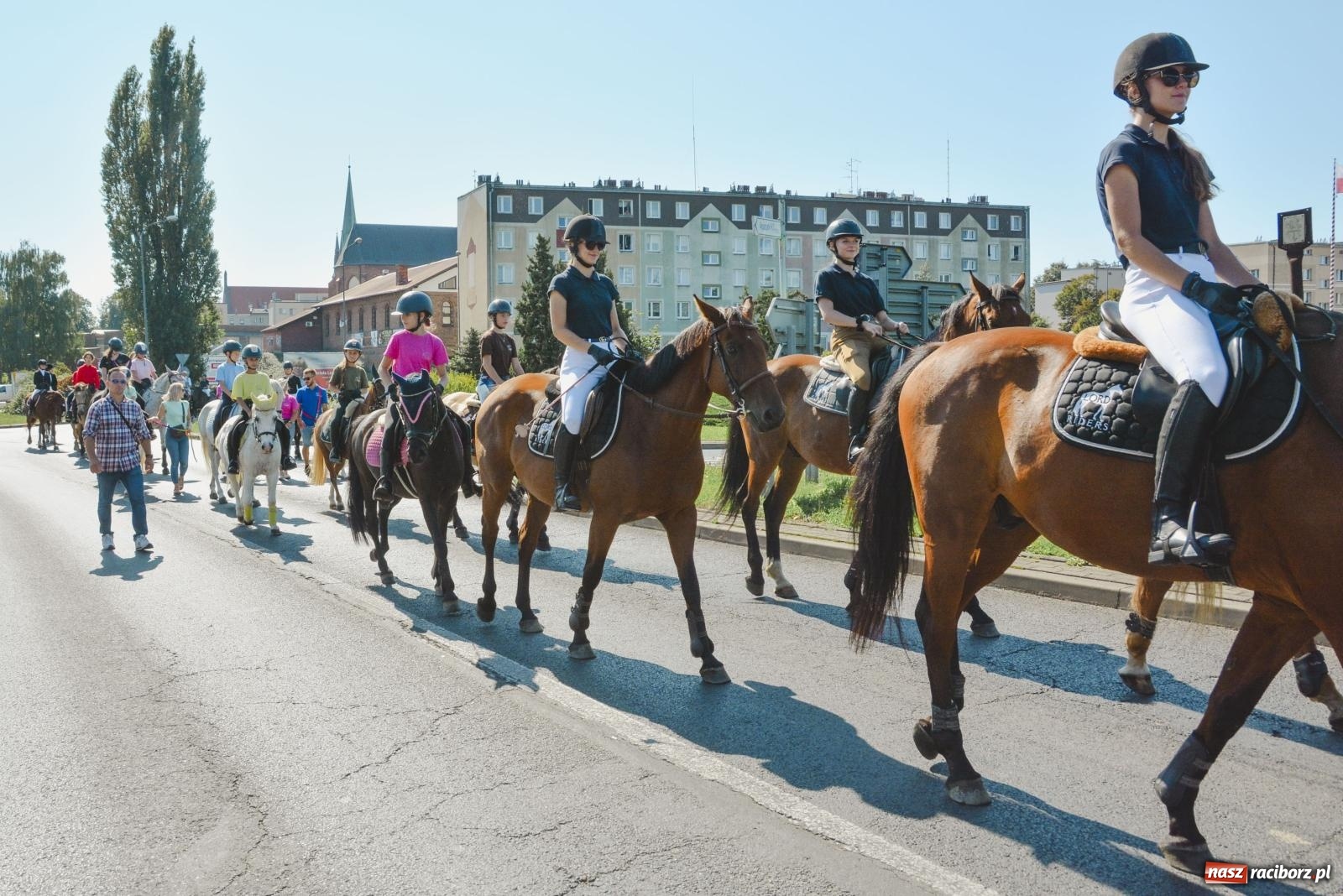 Zdjęcie w galerii na portalu naszraciborz.pl: Raciborski Hubertus. Parada konna przez miasto [FOTO i WIDEO] wiadomości z regionu