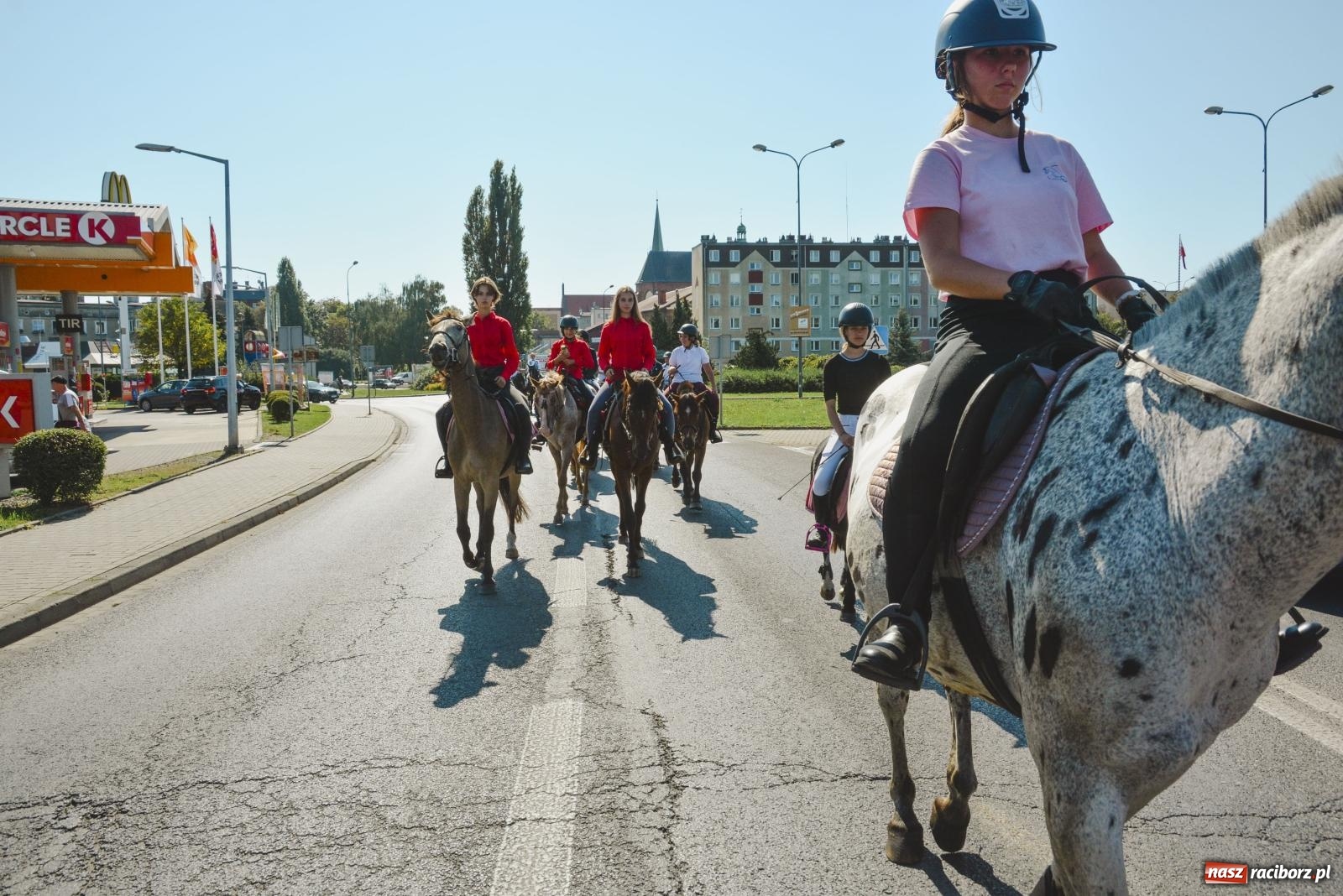 Zdjęcie w galerii na portalu naszraciborz.pl: Raciborski Hubertus. Parada konna przez miasto [FOTO i WIDEO] wiadomości z regionu