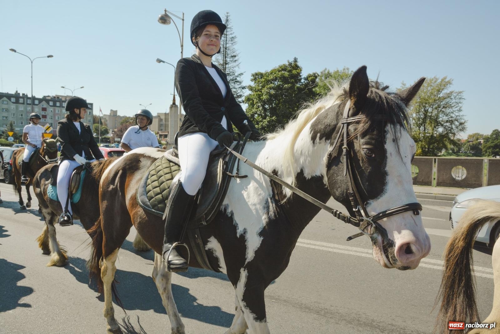 Zdjęcie w galerii na portalu naszraciborz.pl: Raciborski Hubertus. Parada konna przez miasto [FOTO i WIDEO] wiadomości z regionu
