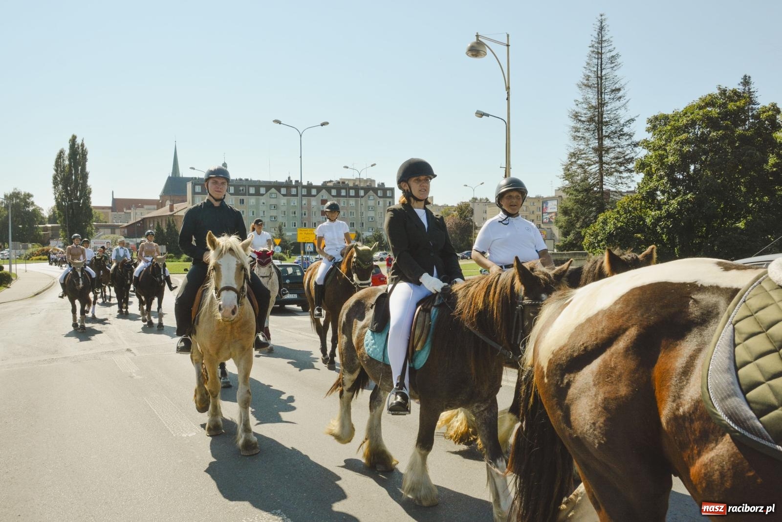 Zdjęcie w galerii na portalu naszraciborz.pl: Raciborski Hubertus. Parada konna przez miasto [FOTO i WIDEO] wiadomości z regionu
