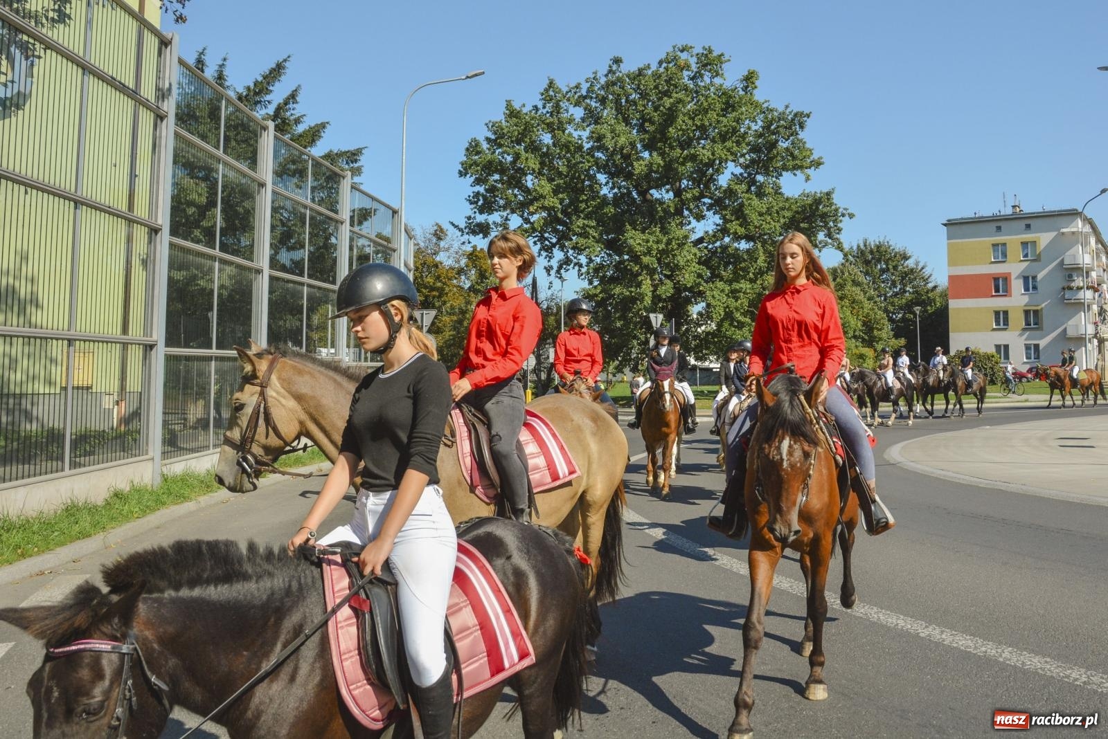 Zdjęcie w galerii na portalu naszraciborz.pl: Raciborski Hubertus. Parada konna przez miasto [FOTO i WIDEO] wiadomości z regionu