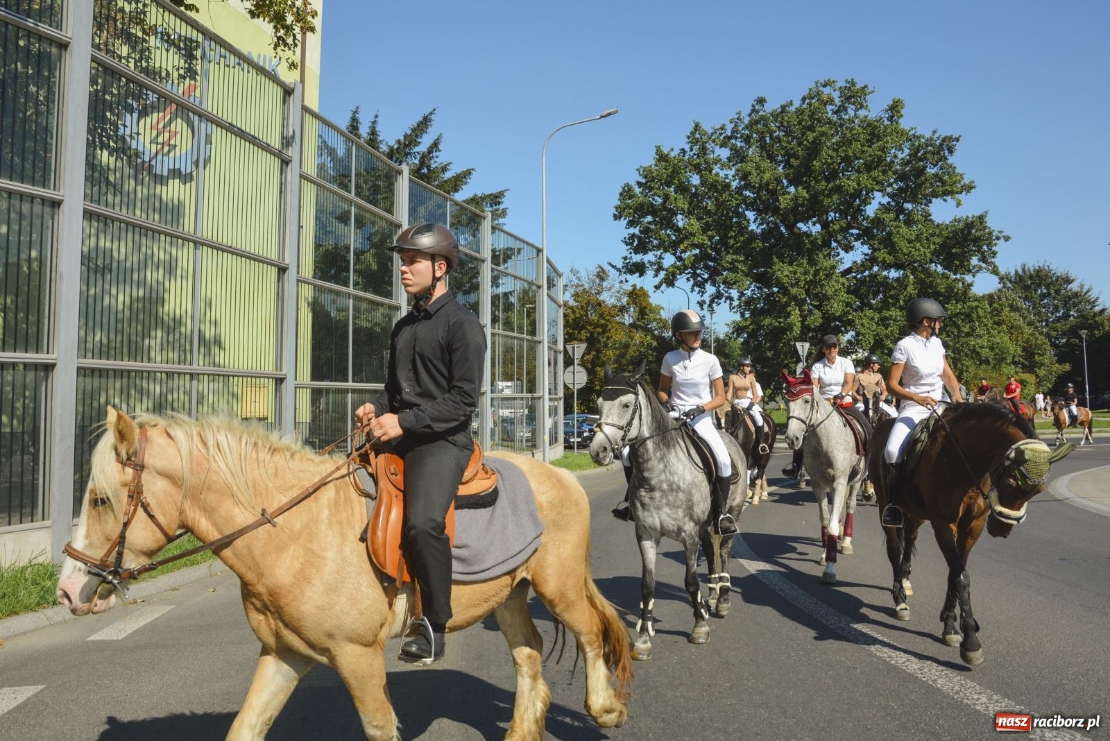 Zdjęcie w galerii na portalu naszraciborz.pl: Raciborski Hubertus. Parada konna przez miasto [FOTO i WIDEO] wiadomości z regionu