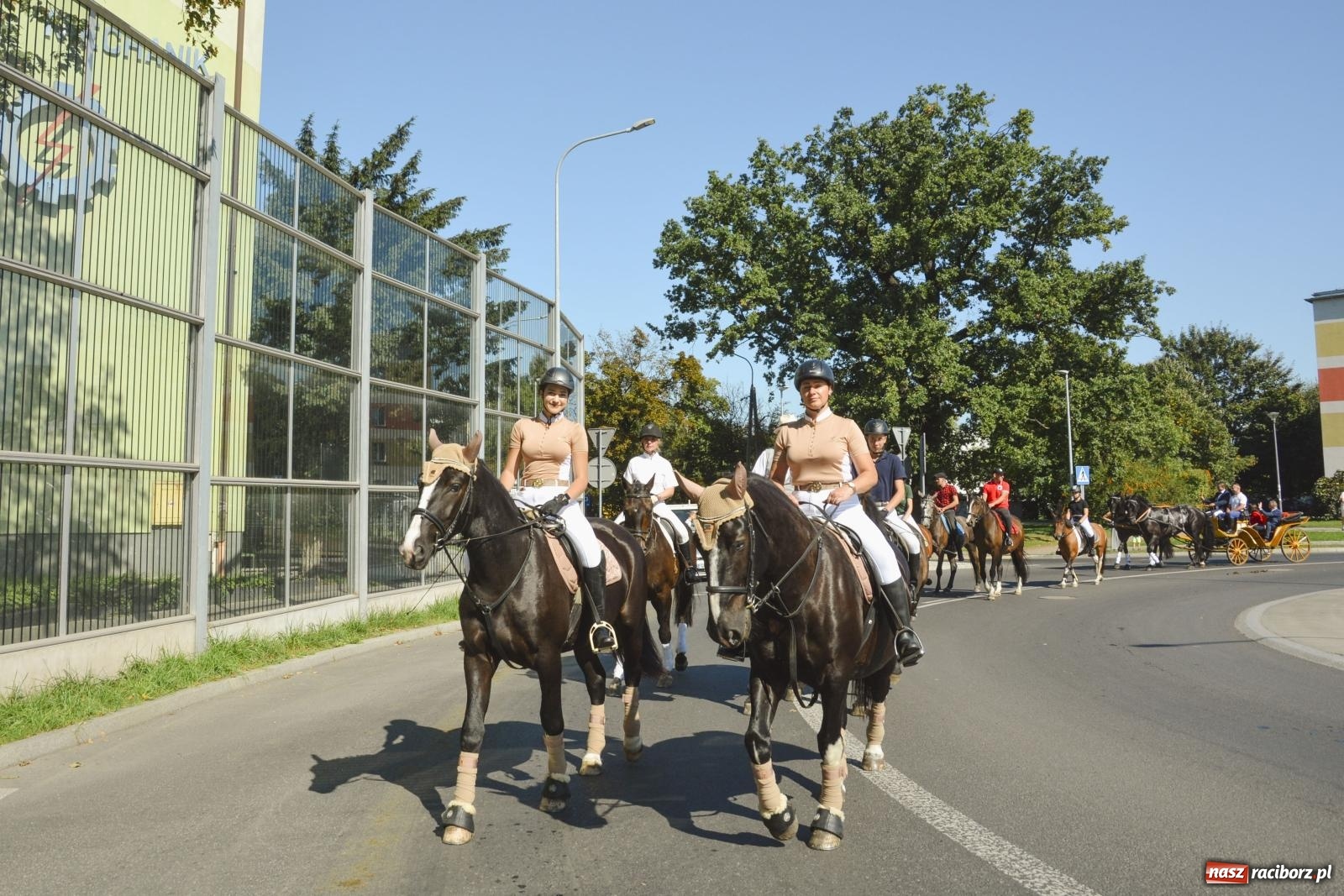 Zdjęcie w galerii na portalu naszraciborz.pl: Raciborski Hubertus. Parada konna przez miasto [FOTO i WIDEO] wiadomości z regionu