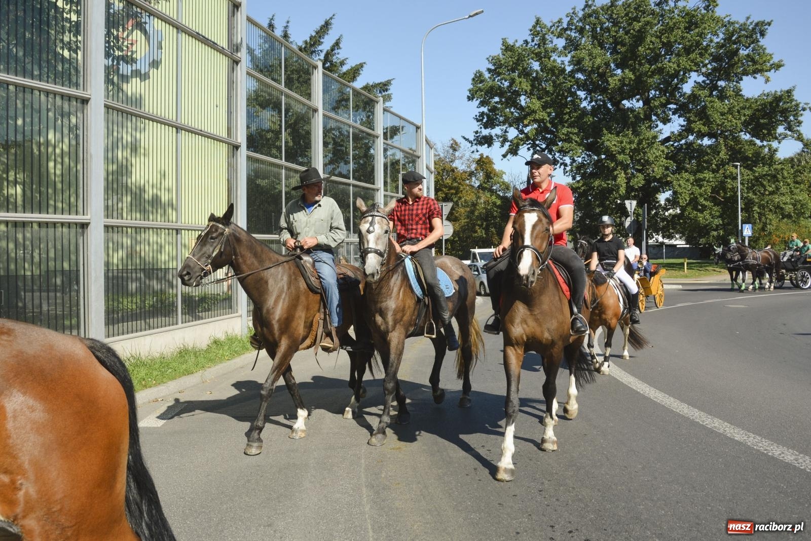 Zdjęcie w galerii na portalu naszraciborz.pl: Raciborski Hubertus. Parada konna przez miasto [FOTO i WIDEO] wiadomości z regionu