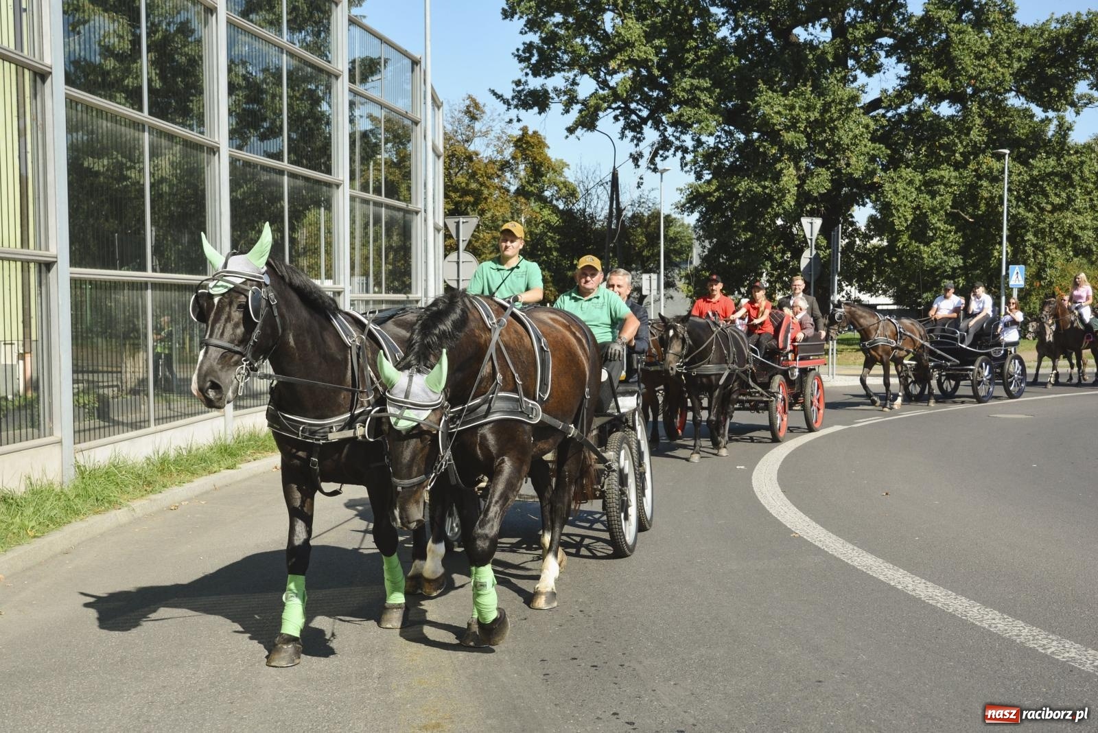 Zdjęcie w galerii na portalu naszraciborz.pl: Raciborski Hubertus. Parada konna przez miasto [FOTO i WIDEO] wiadomości z regionu