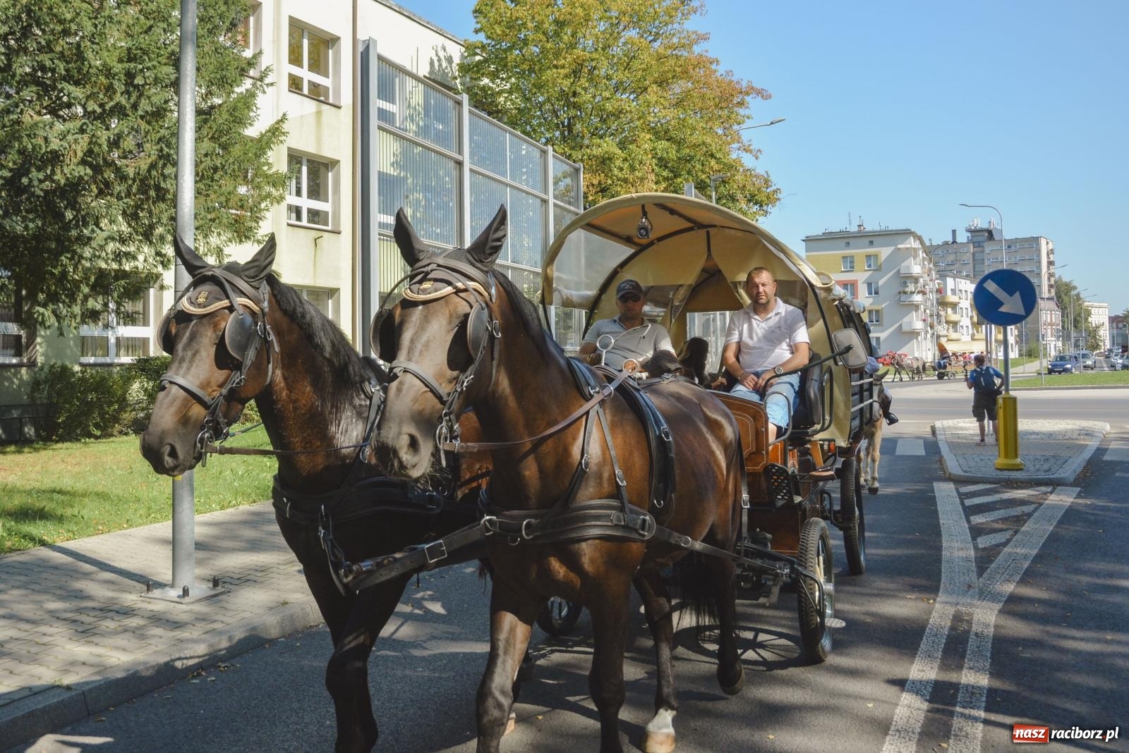 Zdjęcie w galerii na portalu naszraciborz.pl: Raciborski Hubertus. Parada konna przez miasto [FOTO i WIDEO] wiadomości z regionu