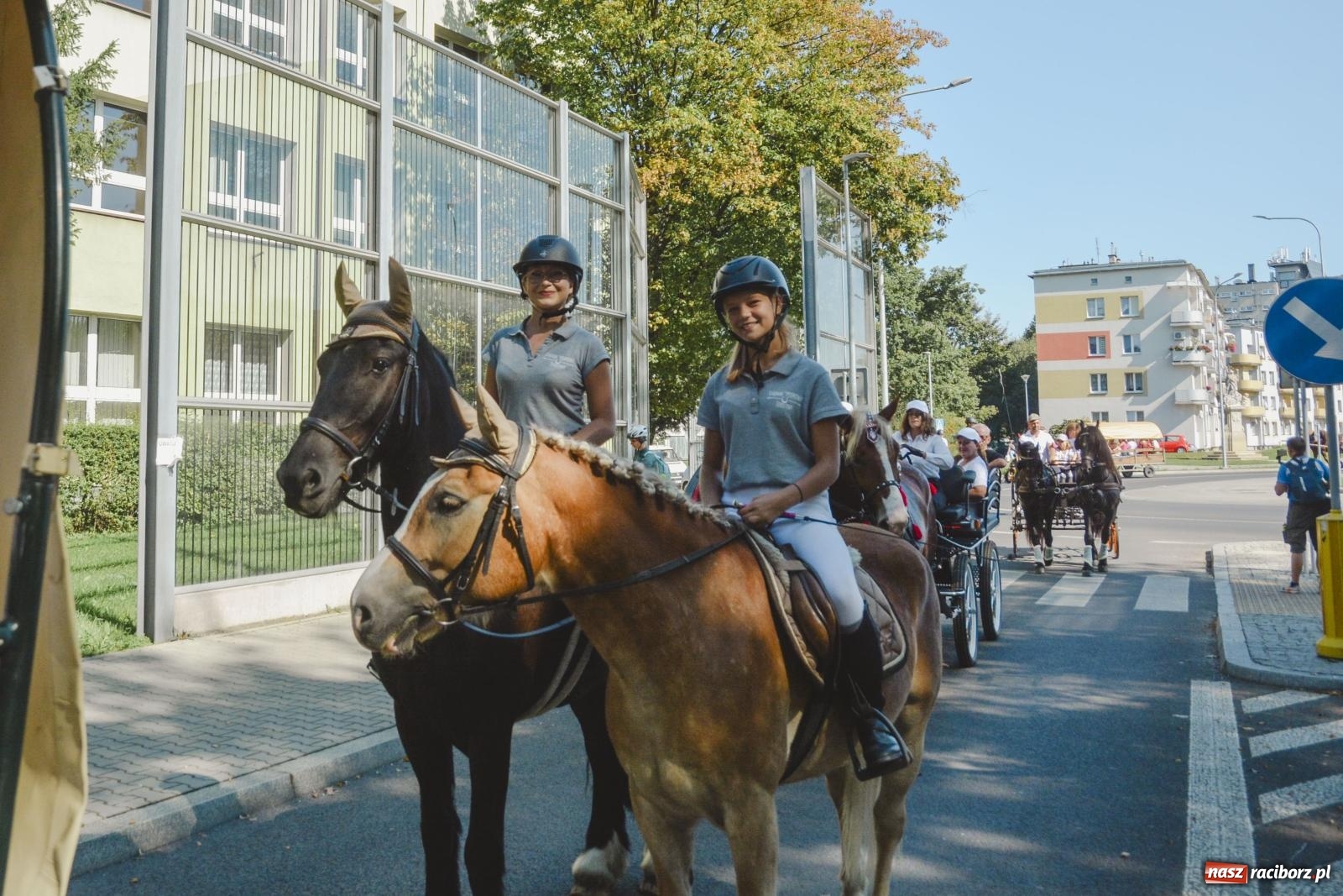 Zdjęcie w galerii na portalu naszraciborz.pl: Raciborski Hubertus. Parada konna przez miasto [FOTO i WIDEO] wiadomości z regionu
