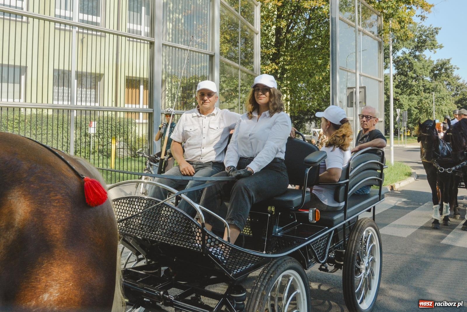 Zdjęcie w galerii na portalu naszraciborz.pl: Raciborski Hubertus. Parada konna przez miasto [FOTO i WIDEO] wiadomości z regionu