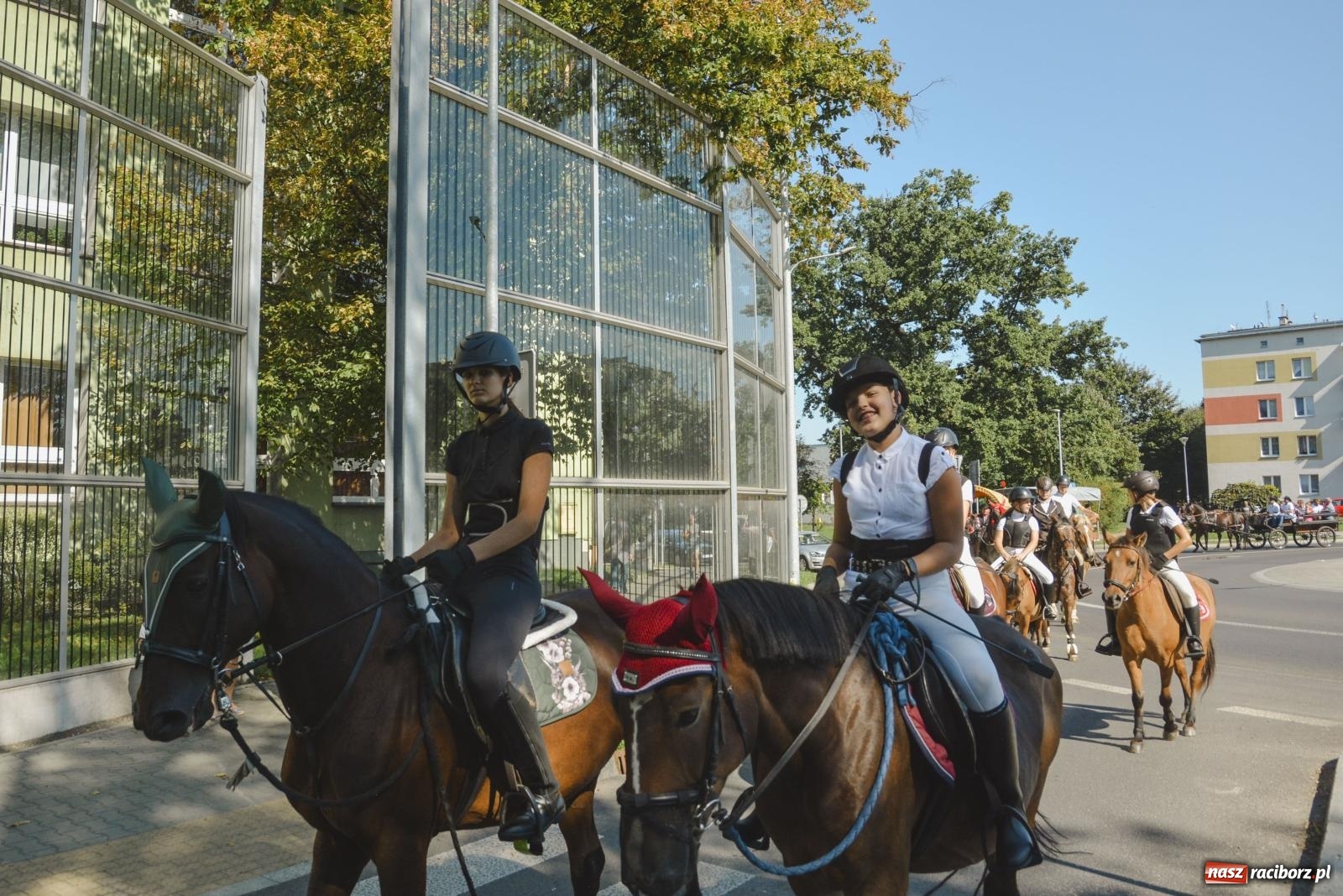 Zdjęcie w galerii na portalu naszraciborz.pl: Raciborski Hubertus. Parada konna przez miasto [FOTO i WIDEO] wiadomości z regionu