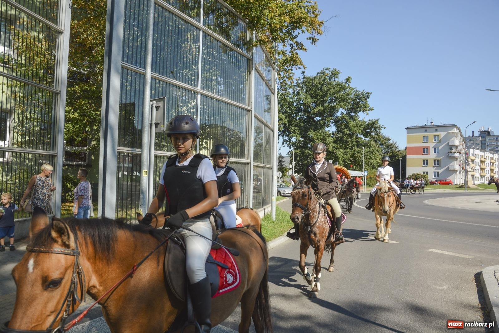 Zdjęcie w galerii na portalu naszraciborz.pl: Raciborski Hubertus. Parada konna przez miasto [FOTO i WIDEO] wiadomości z regionu