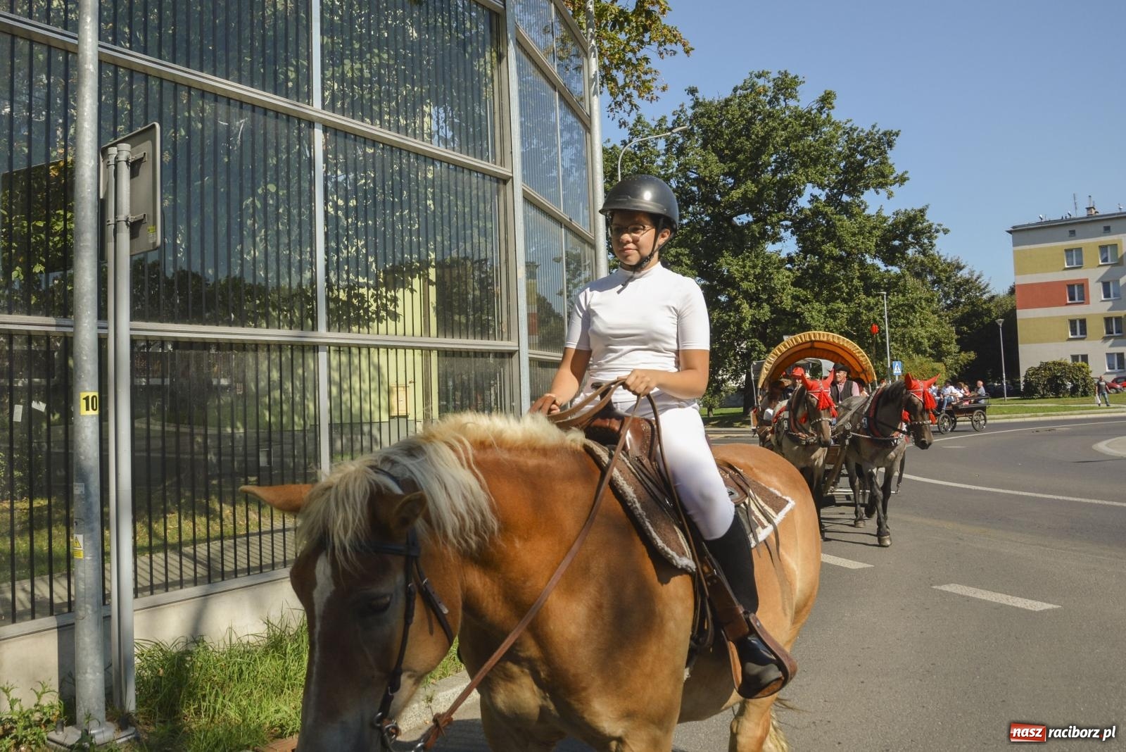 Zdjęcie w galerii na portalu naszraciborz.pl: Raciborski Hubertus. Parada konna przez miasto [FOTO i WIDEO] wiadomości z regionu