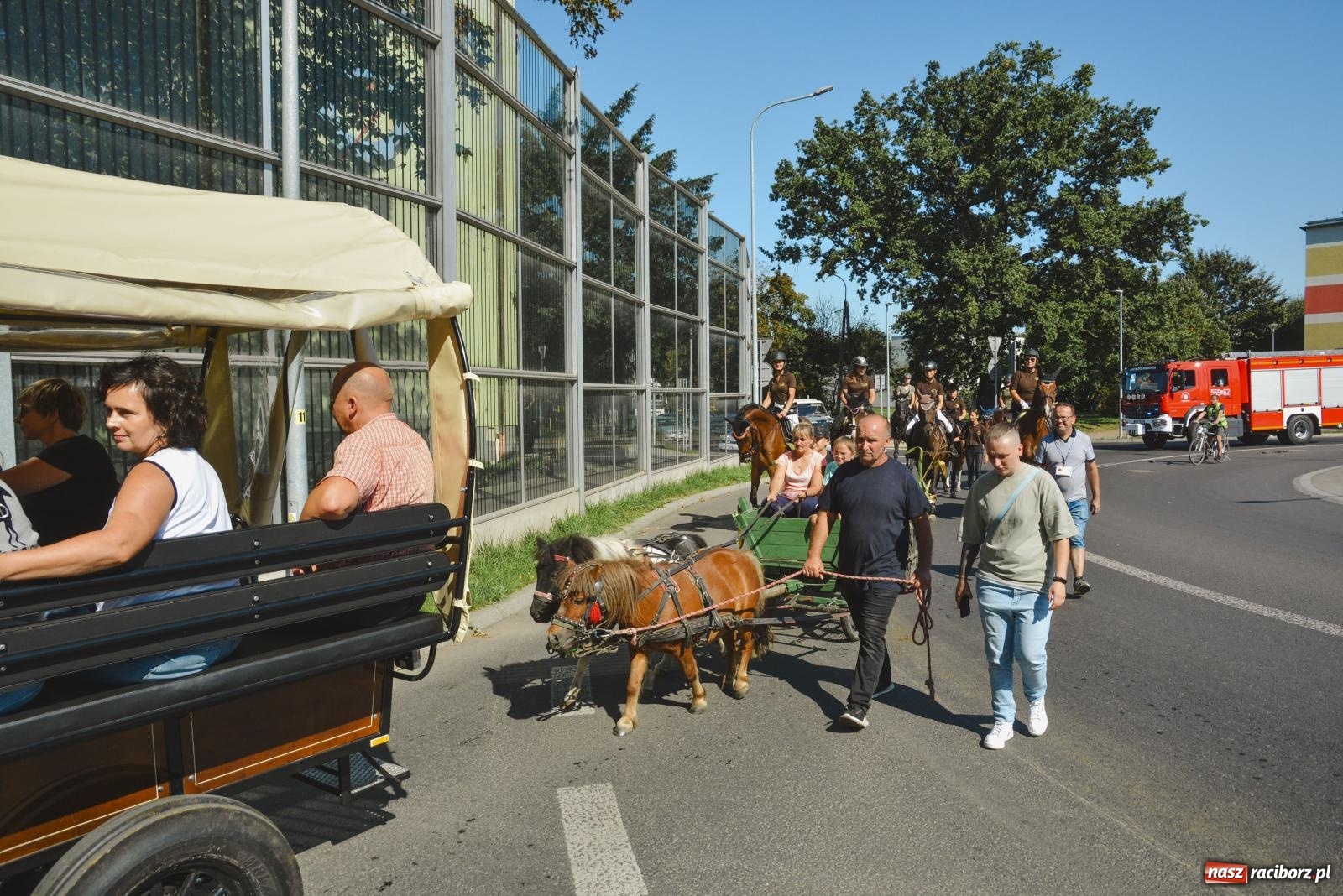 Zdjęcie w galerii na portalu naszraciborz.pl: Raciborski Hubertus. Parada konna przez miasto [FOTO i WIDEO] wiadomości z regionu