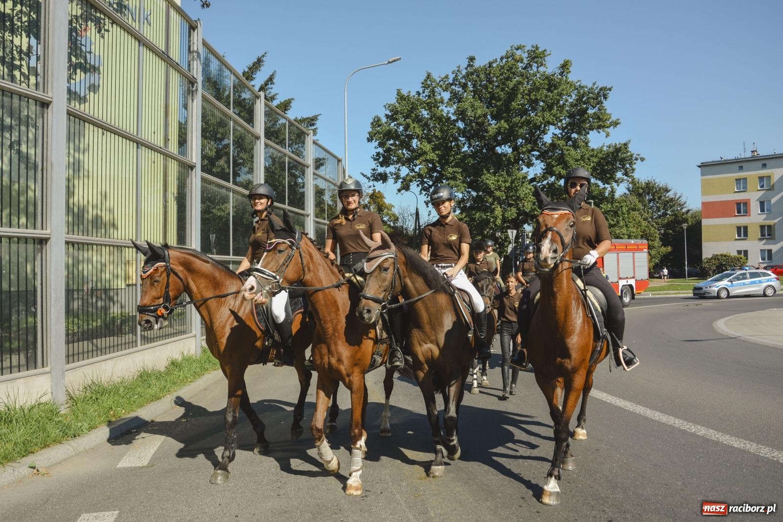 Zdjęcie w galerii na portalu naszraciborz.pl: Raciborski Hubertus. Parada konna przez miasto [FOTO i WIDEO] wiadomości z regionu