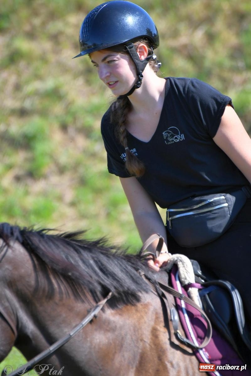 Zdjęcie w galerii na portalu naszraciborz.pl: Raciborski Hubertus. Parada konna przez miasto [FOTO i WIDEO] wiadomości z regionu